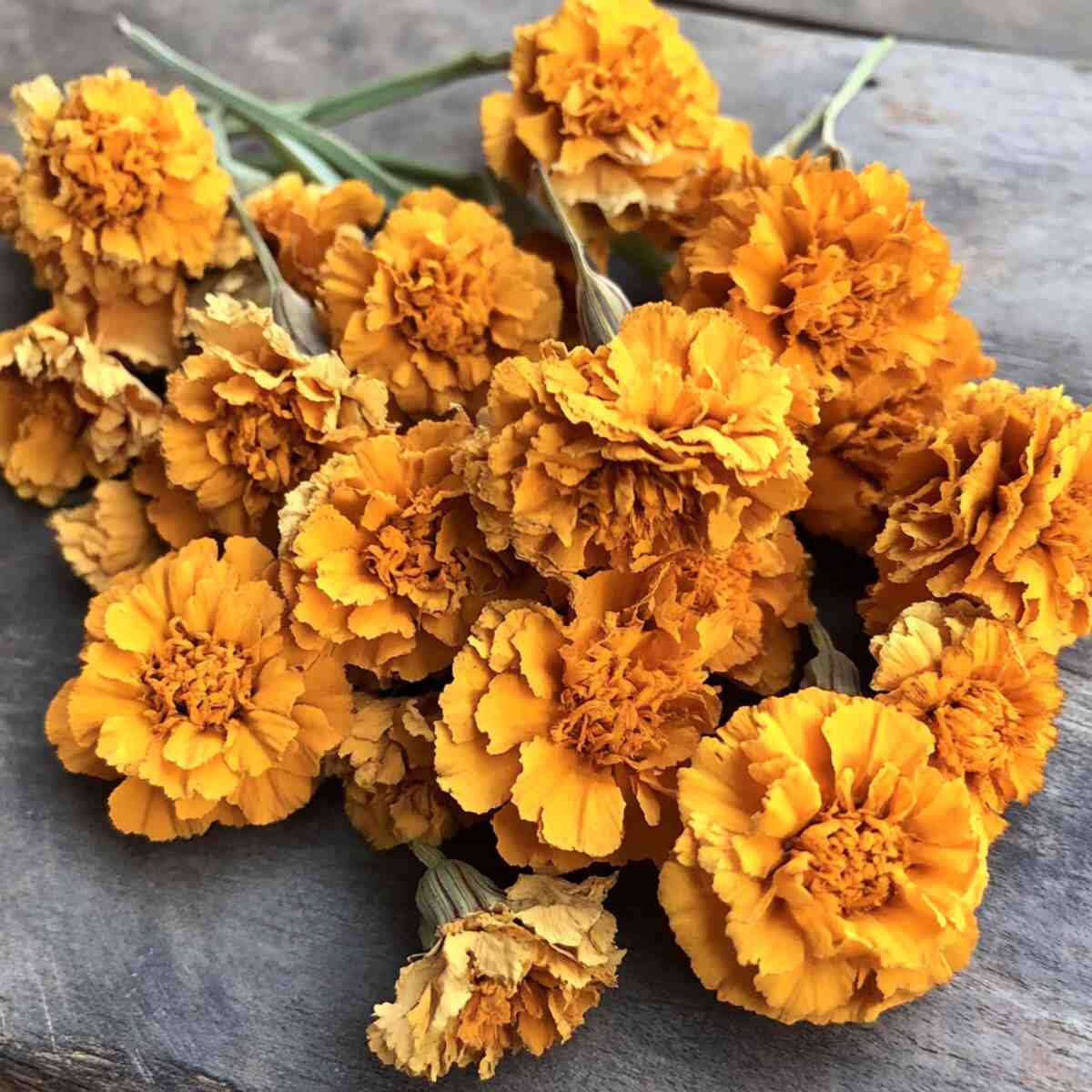 19. Marigold