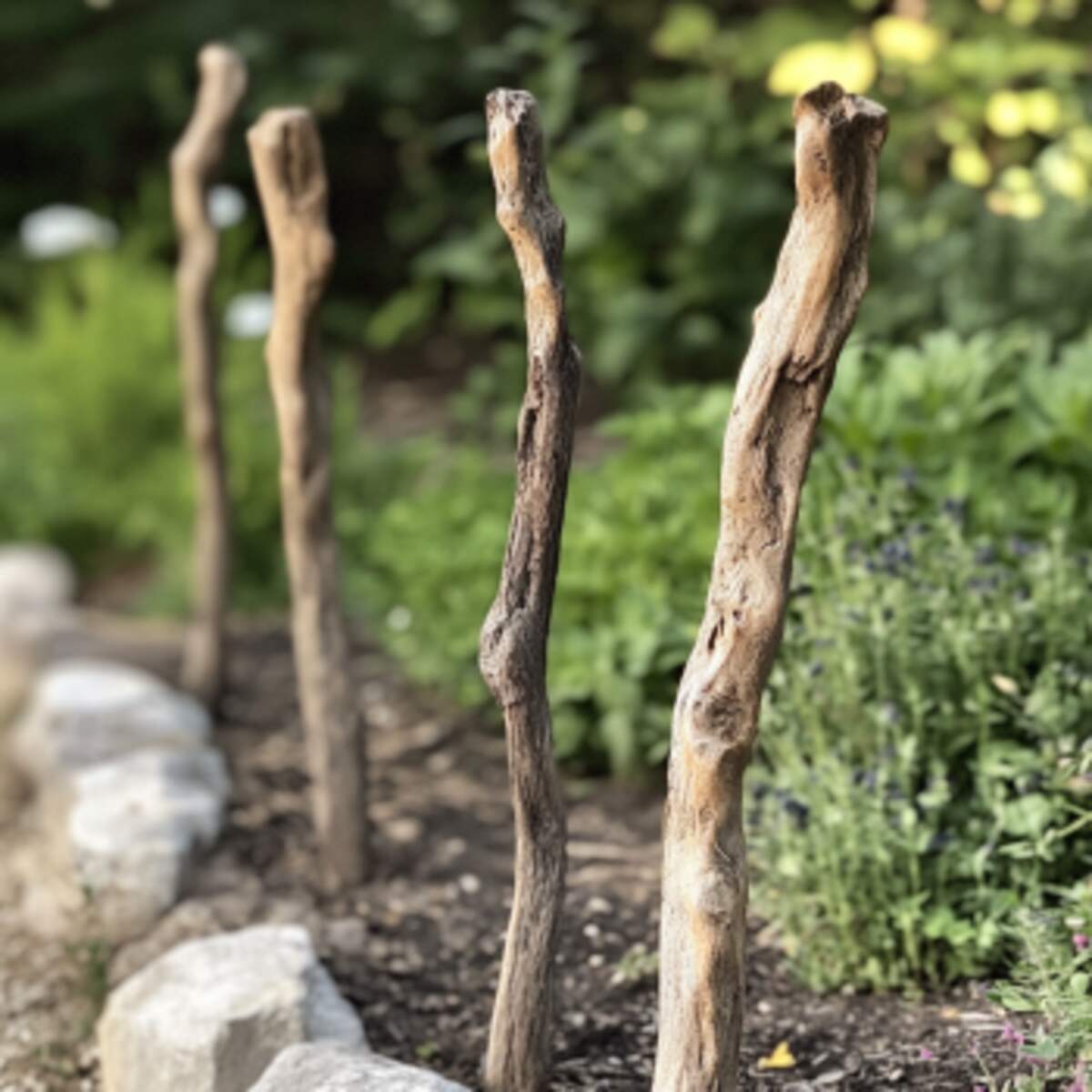 Driftwood garden stakes
