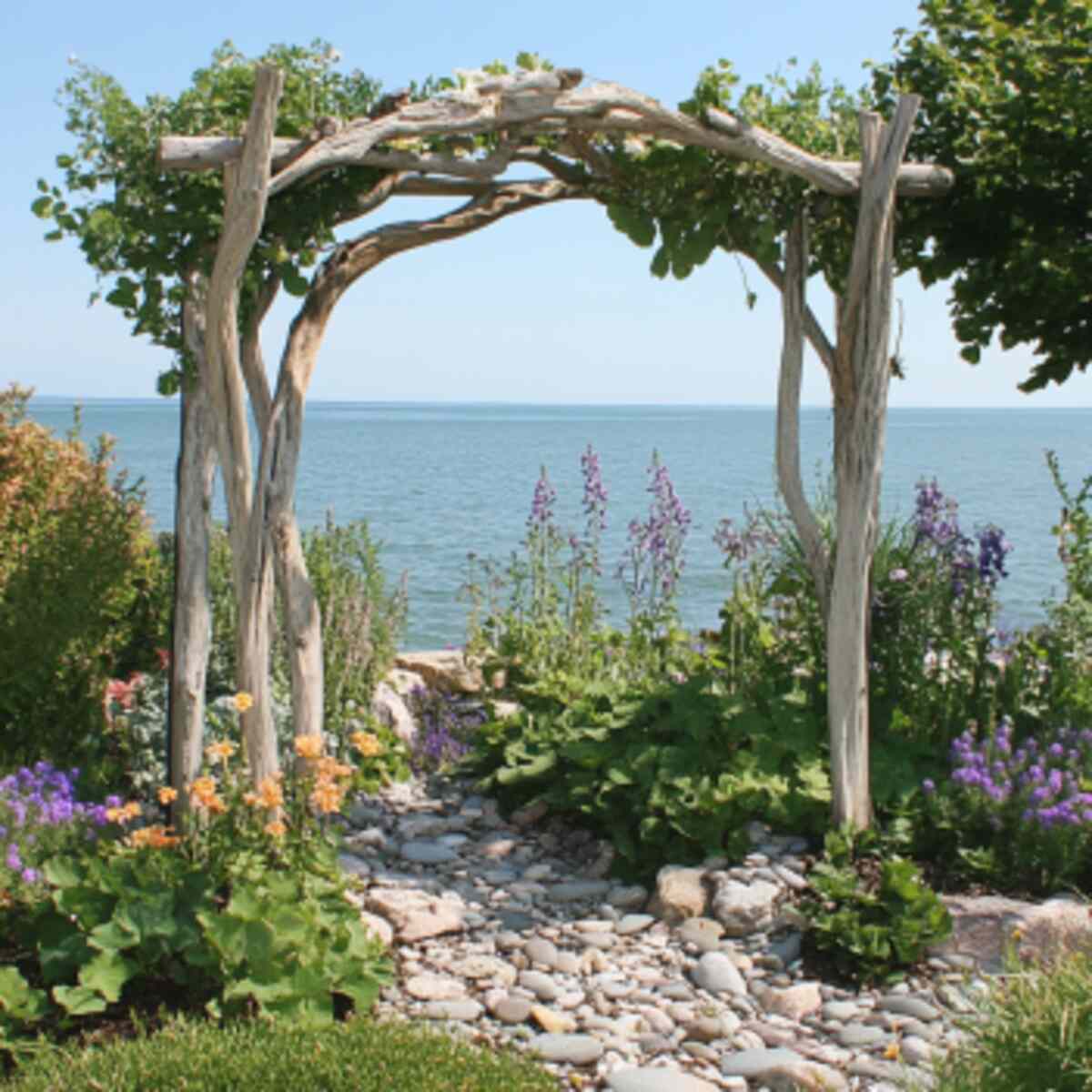 Driftwood garden trellis