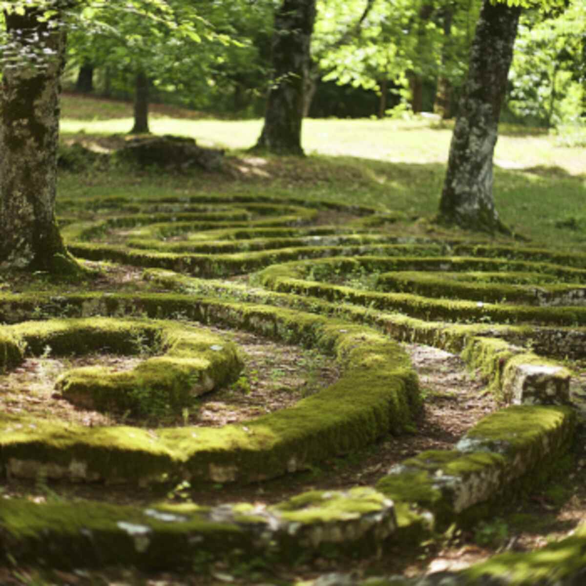 Moss-Covered Labyrinth