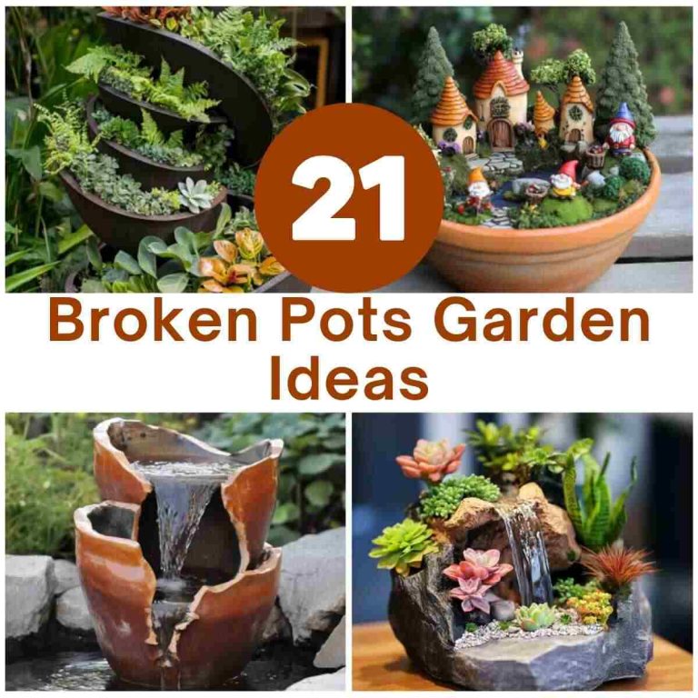 21 Best Broken Pots Garden Ideas Anyone Can Try