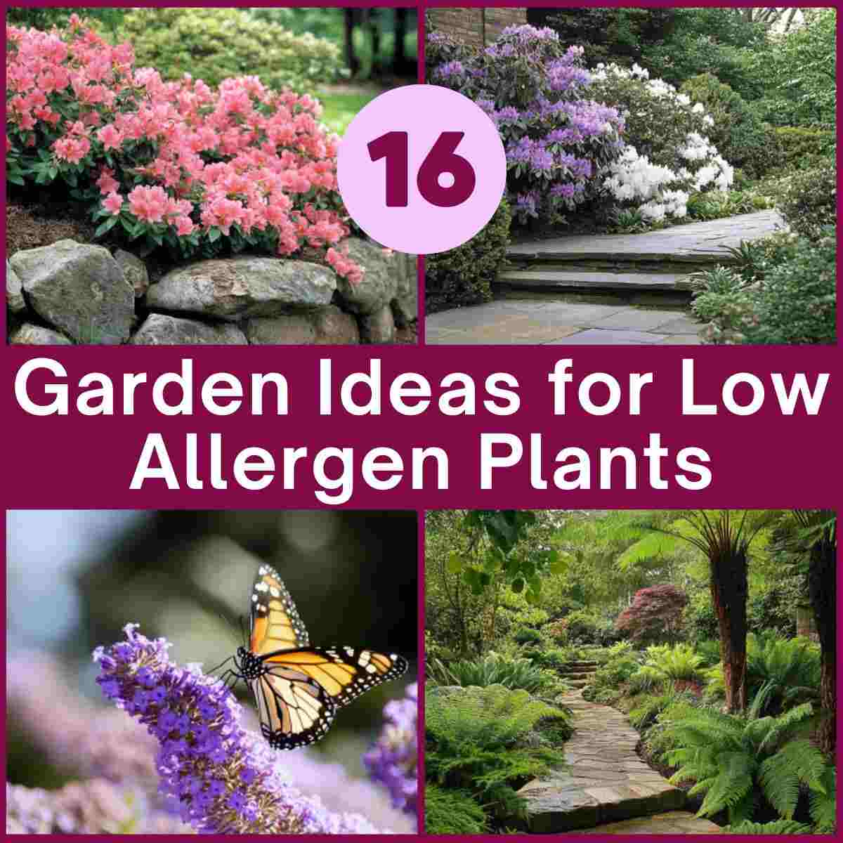 Garden Ideas for Low Allergen Plants