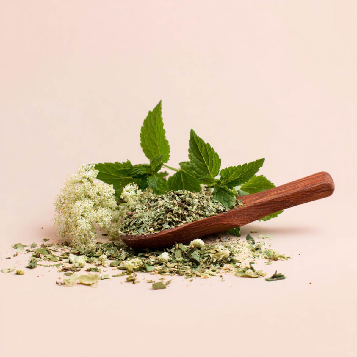 Elderflower & Mint Blend