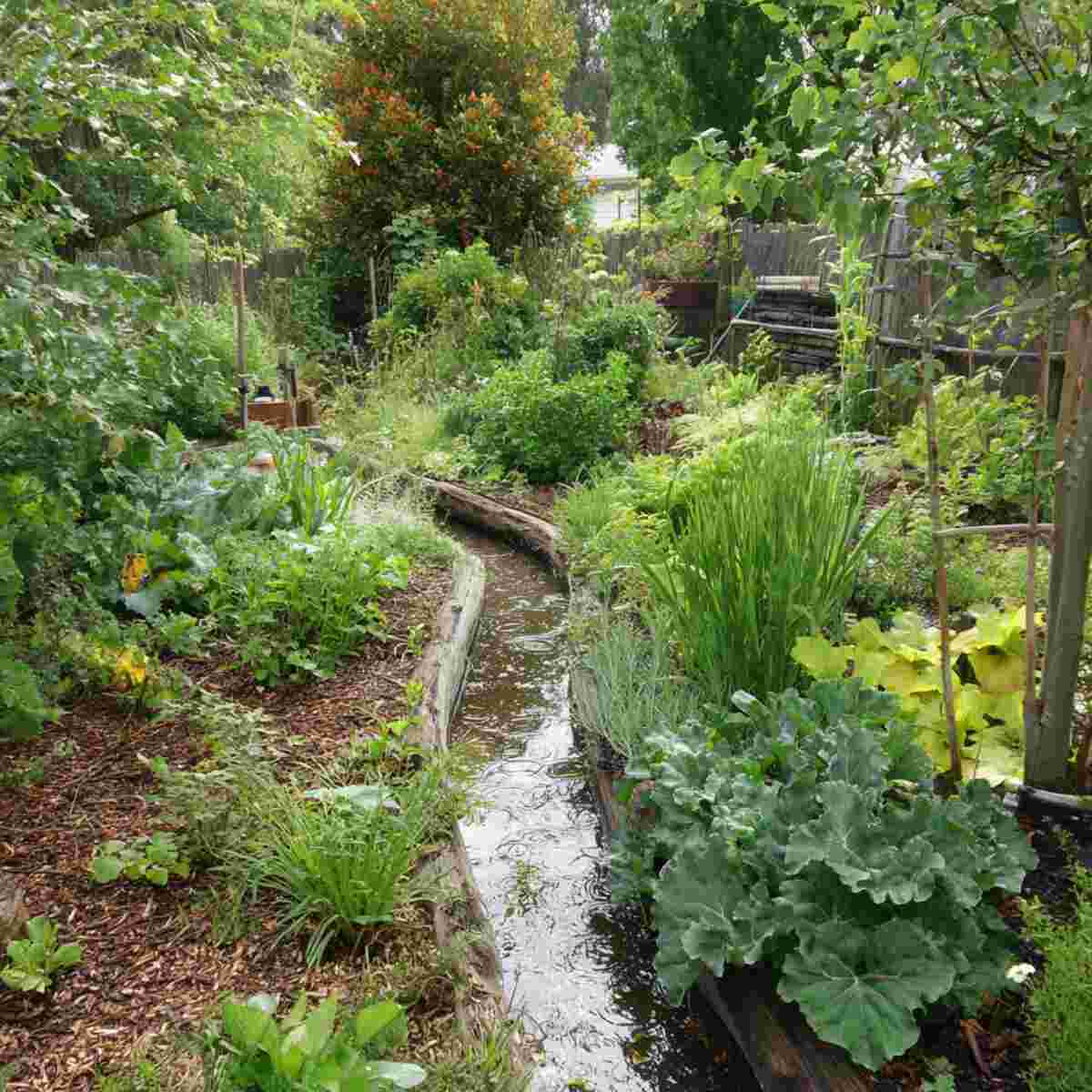 Rainwater Harvesting Swale