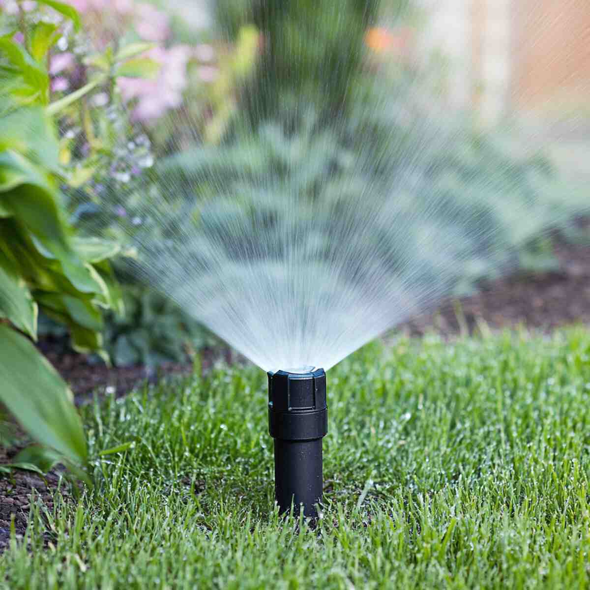 Sprinkler System with Motion Sensor Activation