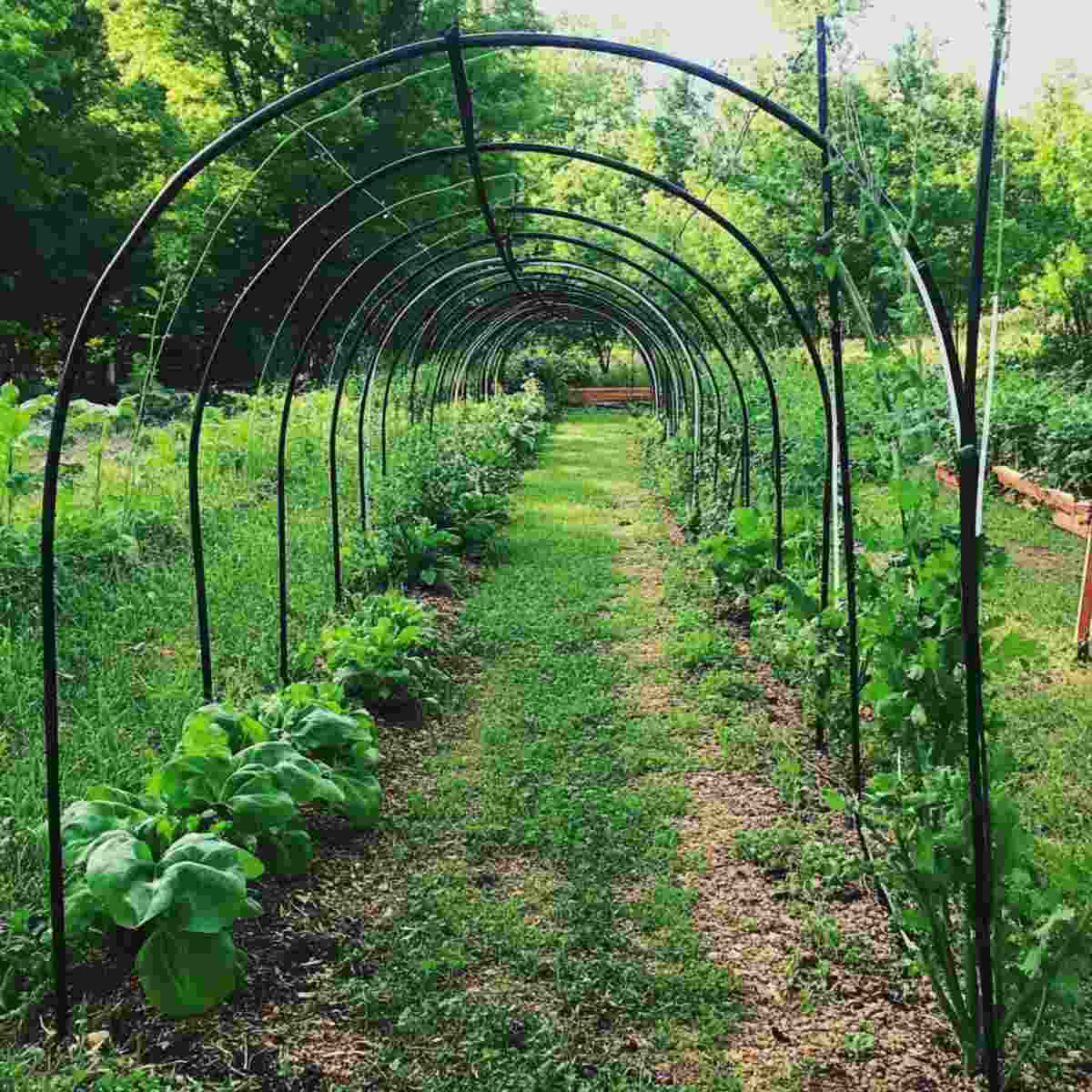 Clothes Hanger Frame Tunnel