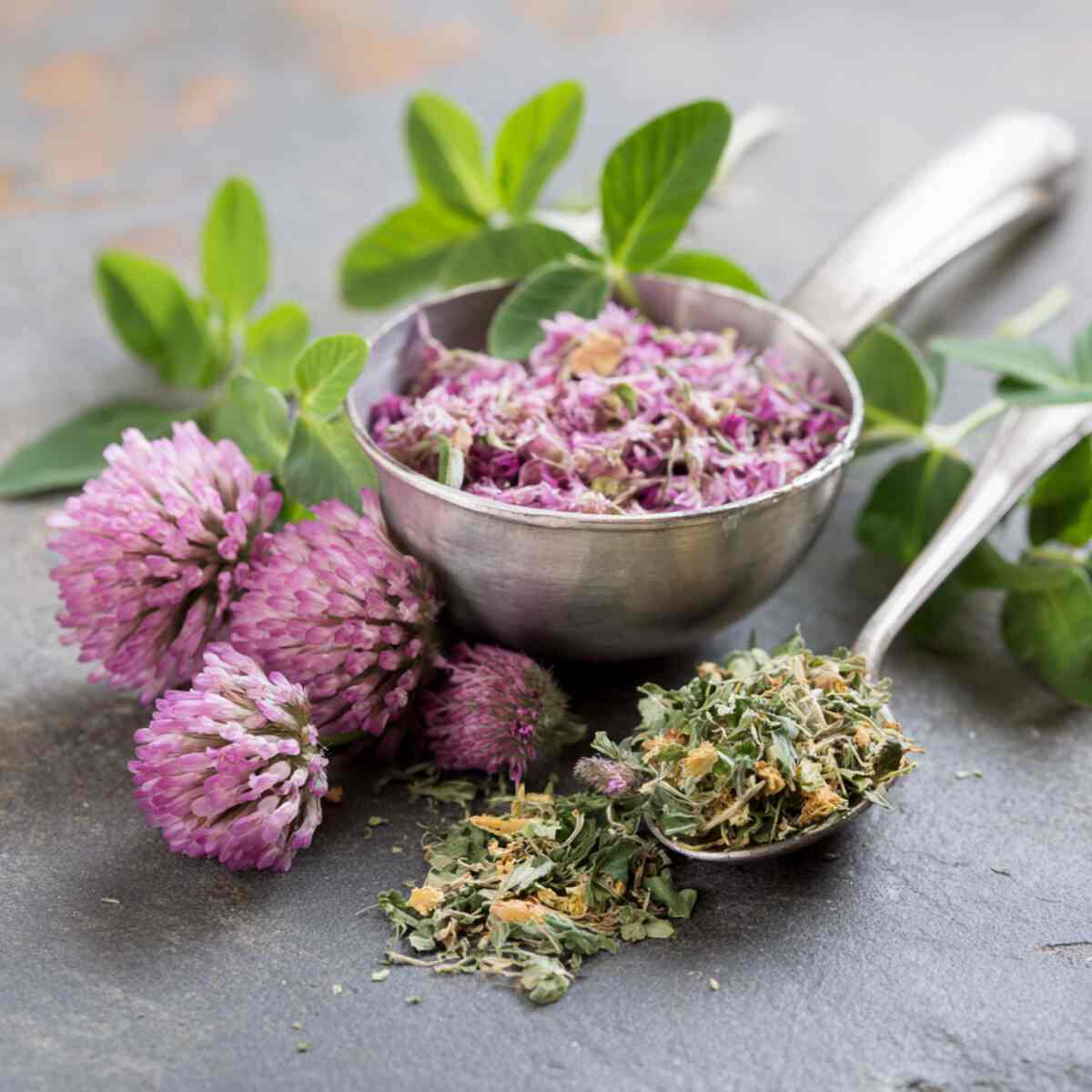 Red Clover & Lemon Balm Blend