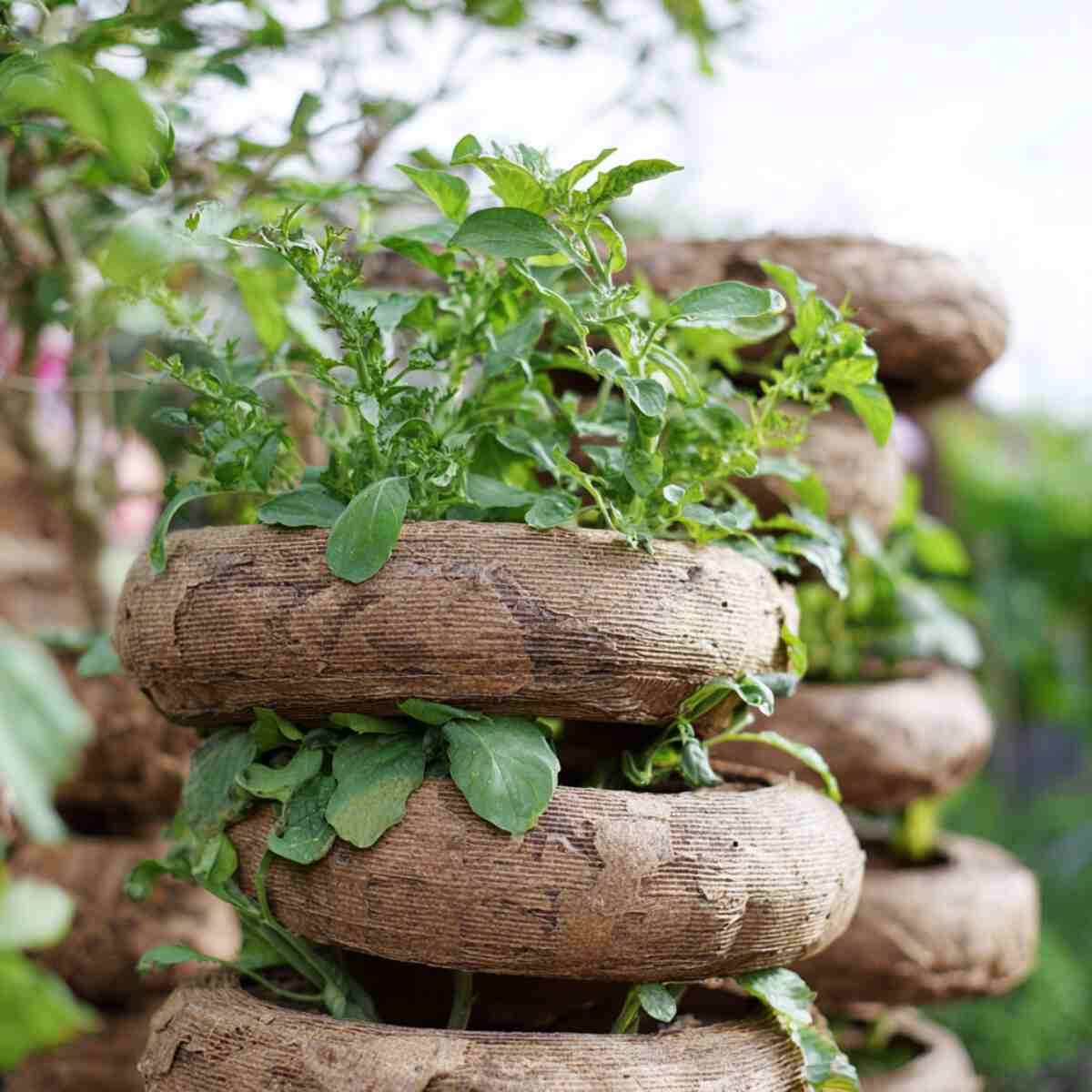 DIY Cardboard Ring Tower
