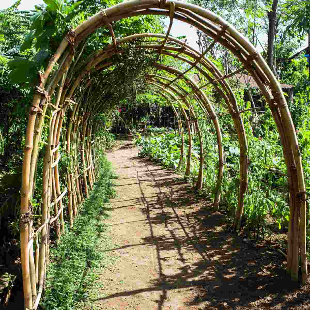 Bamboo Stick Tunnel
