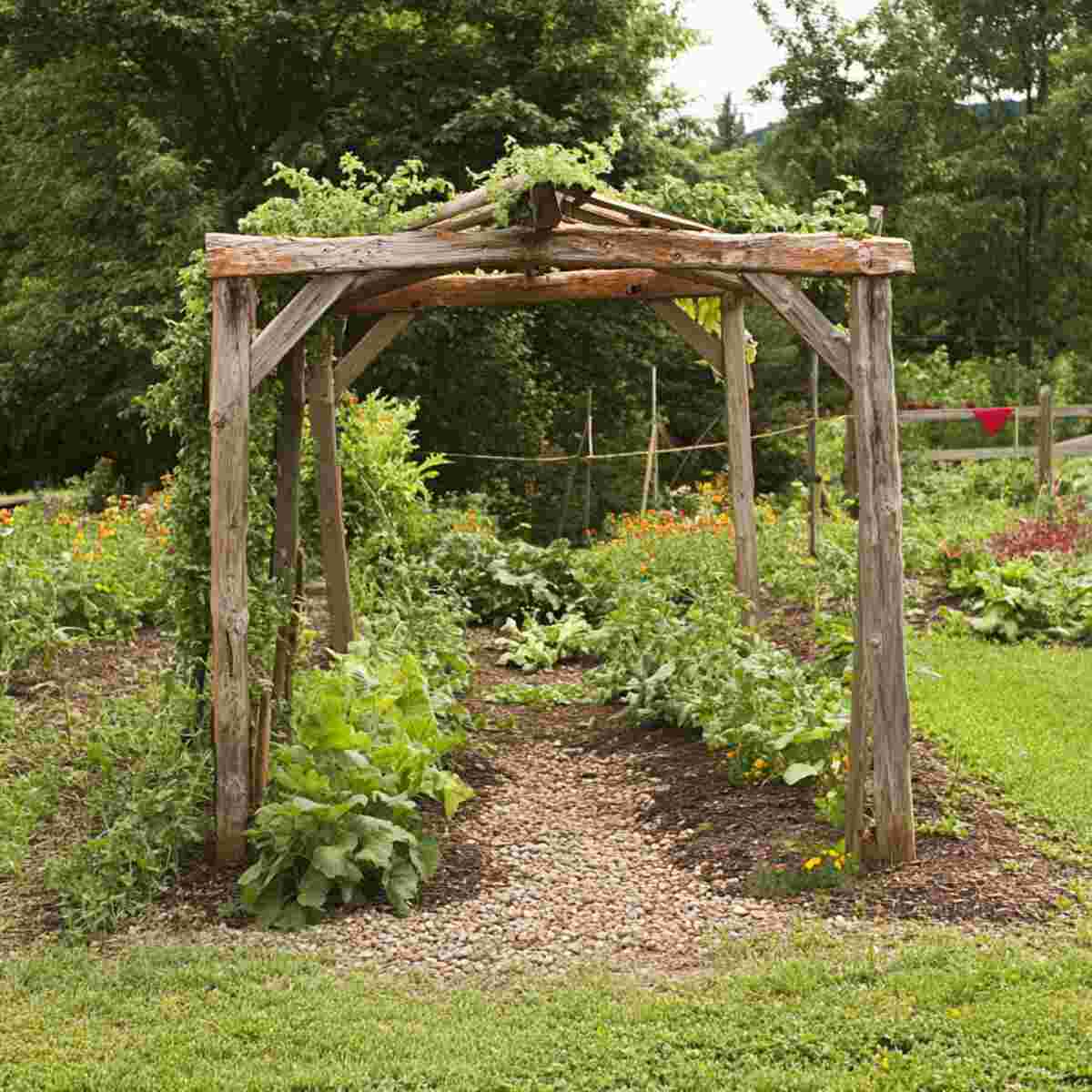 Wooden Frame Tunnel