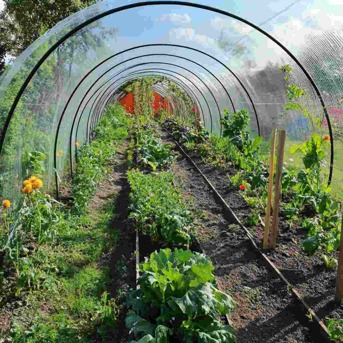 Flexible Conduit Tunnel