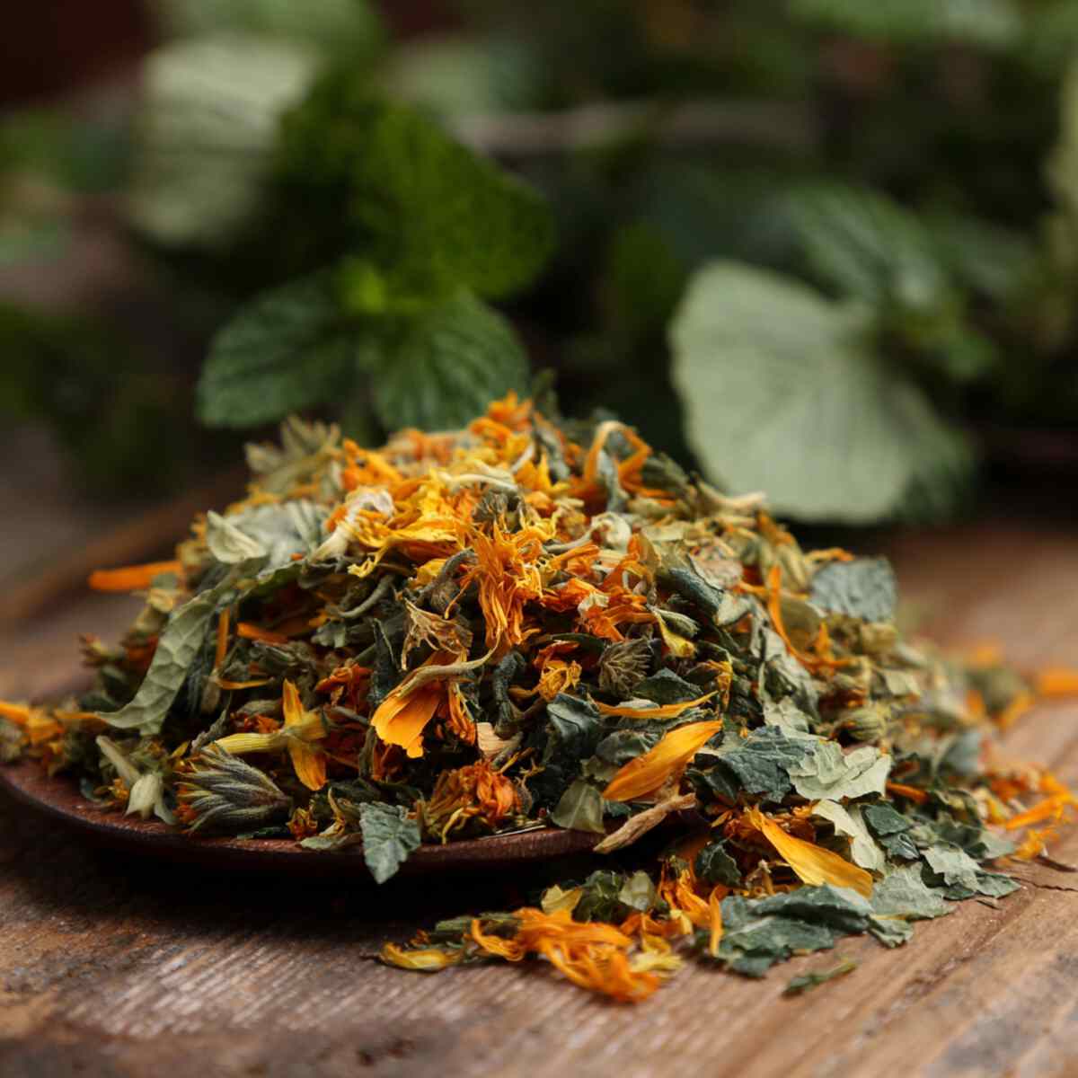Calendula & Mint Blend
