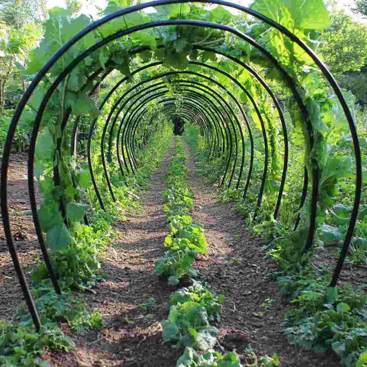 Old Hula Hoop Tunnel