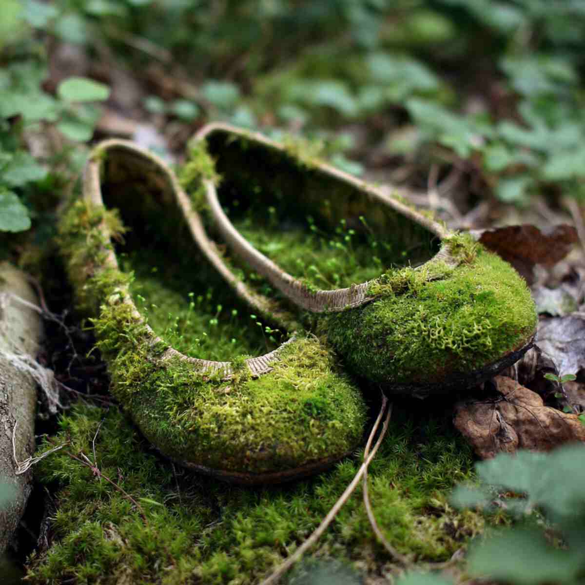 Moss Garden in Ballet Flats