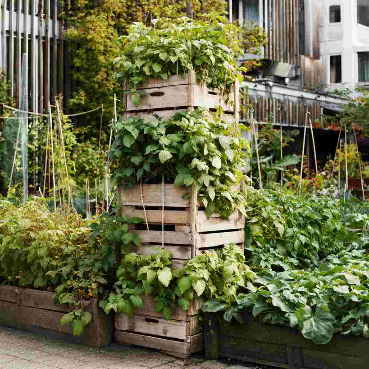 Stacked Wooden Box Tower
