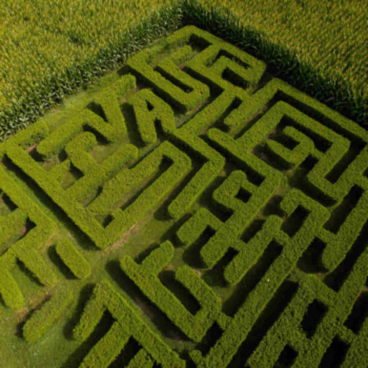 Alphabet-Themed Maze (Like Forming Initials)