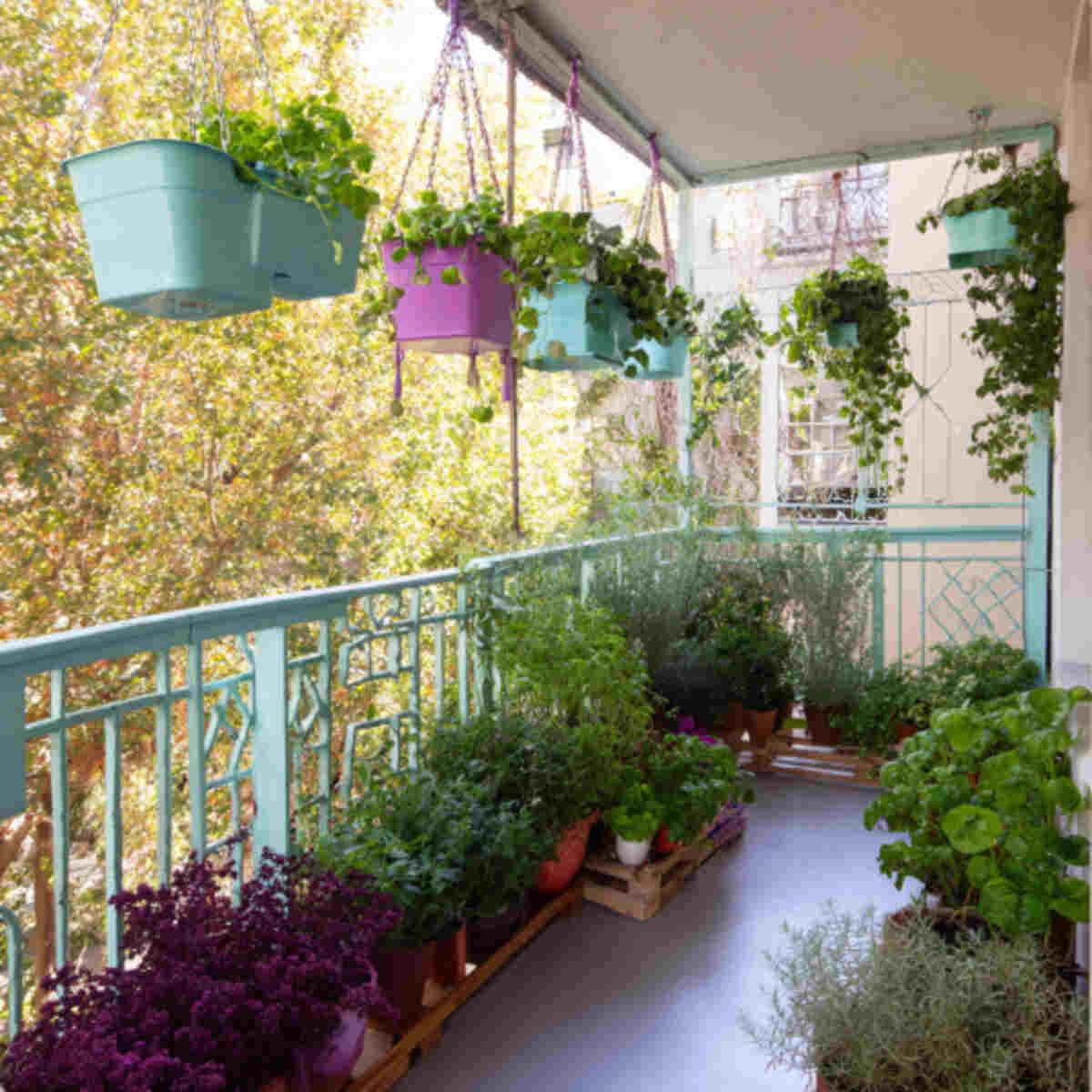 Balcony Dye Garden with Hanging Pots