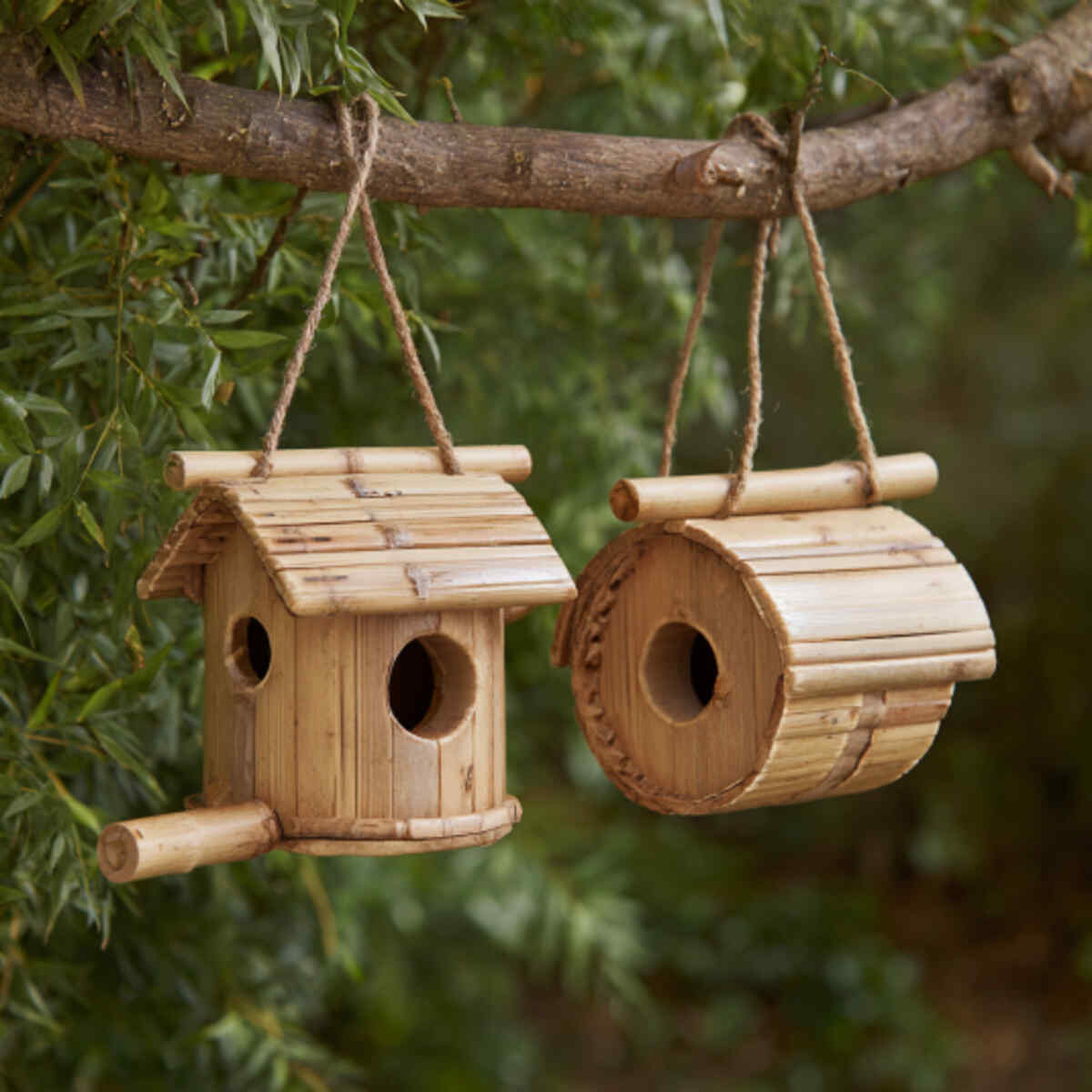 Bamboo Birdhouses or Feeders