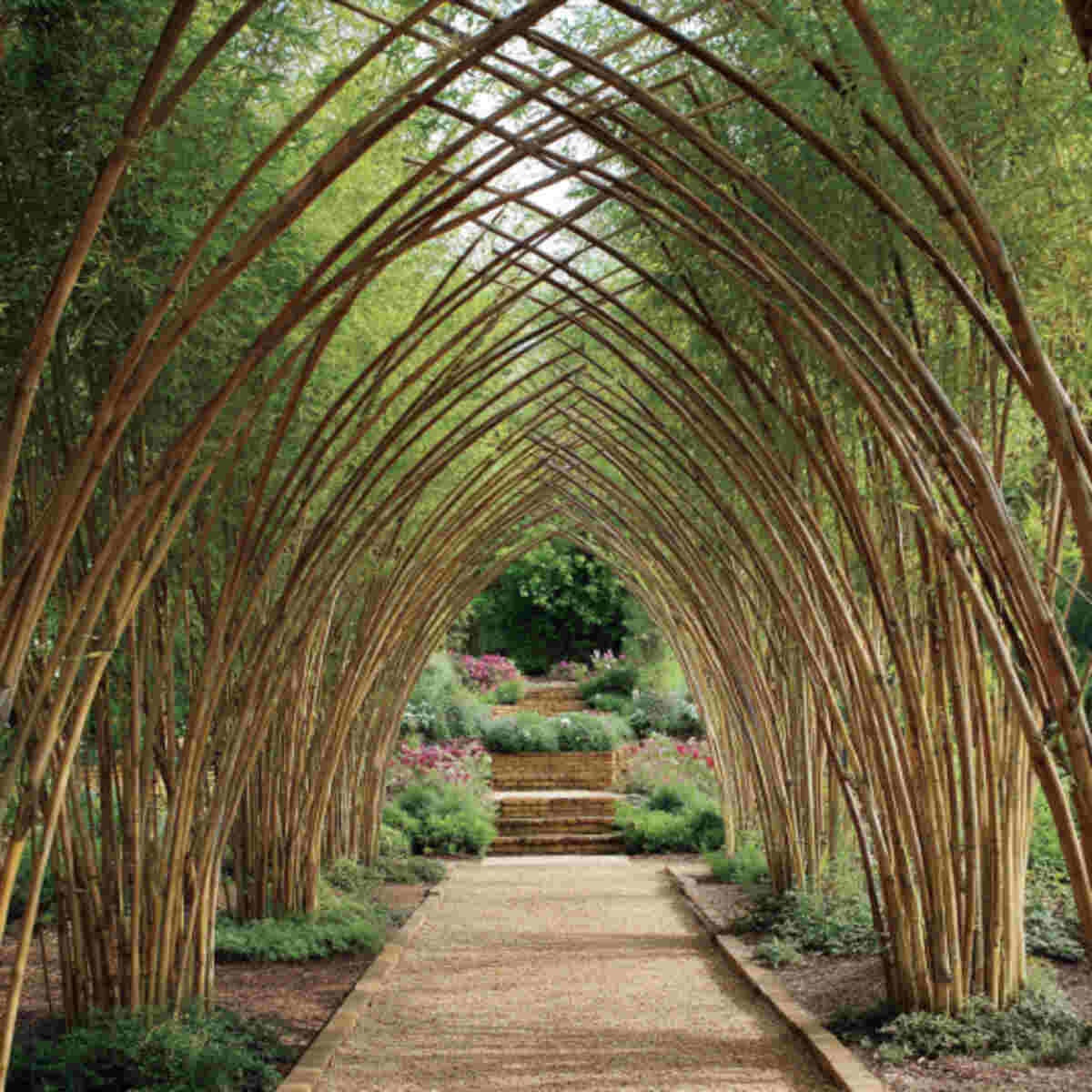 Bamboo Garden Arches
