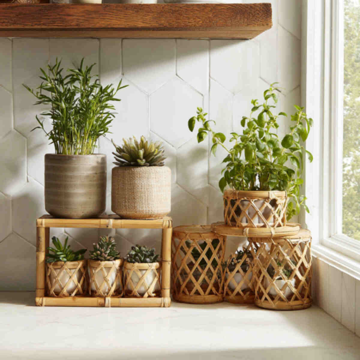 Bamboo Pot Holders or Shelves

