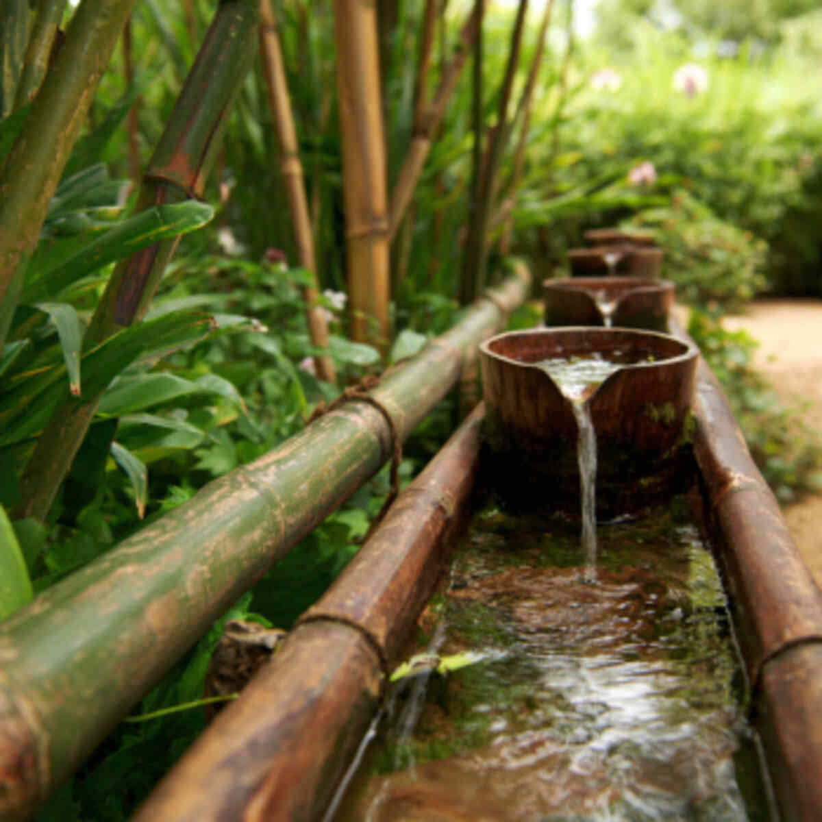 Bamboo Water Features

