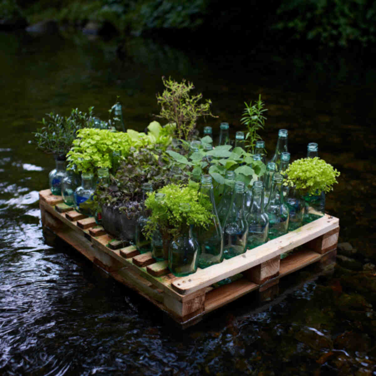 Bottle Raft Floating Garden