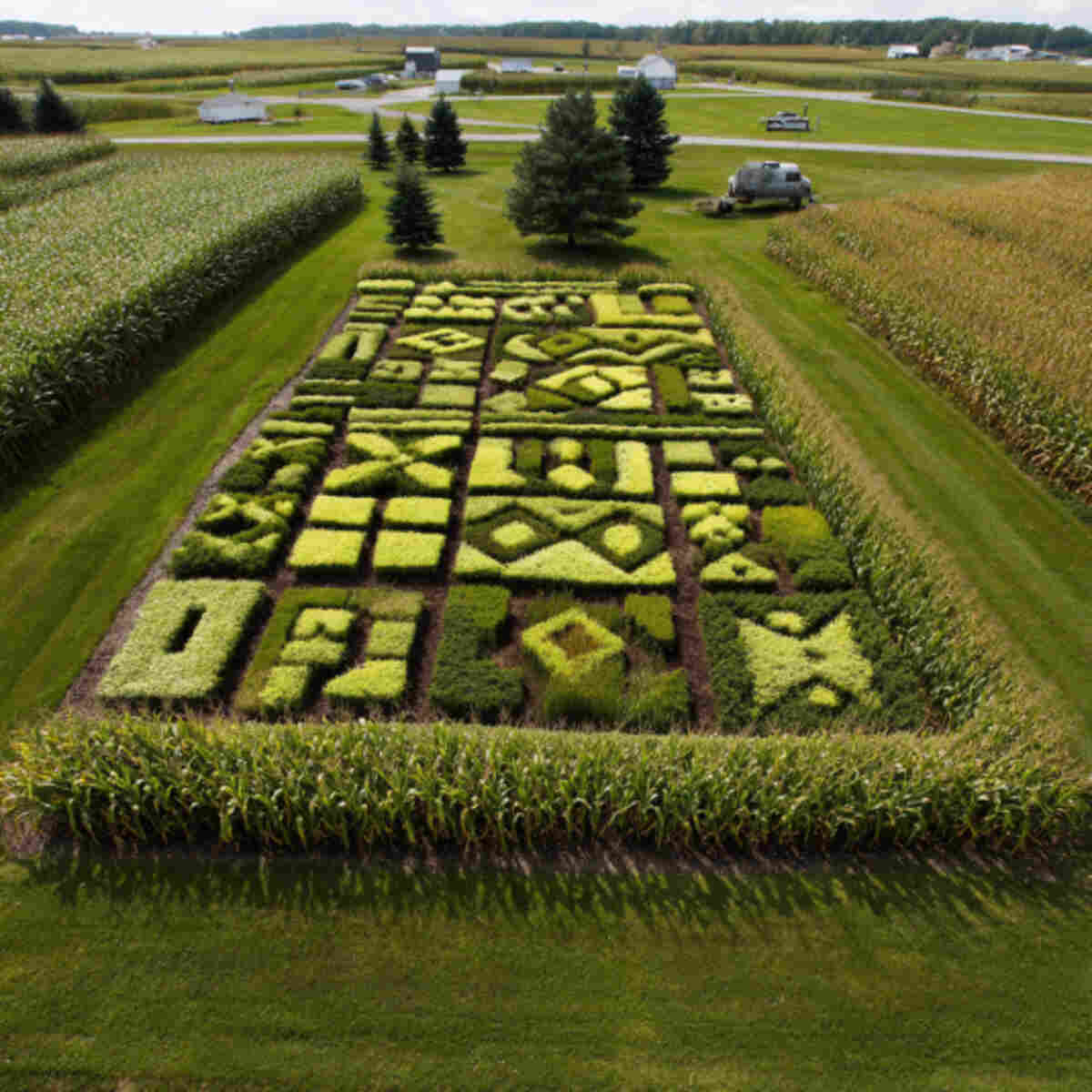 Checkerboard-Pattern Mini Corn Maze