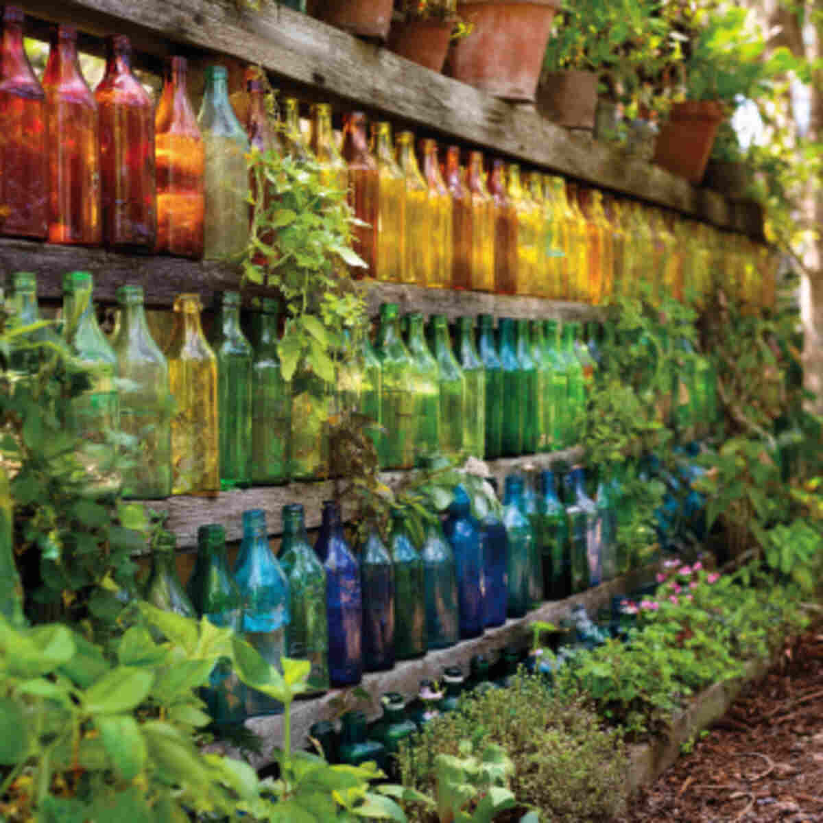 Color-Coded Bottle Rows