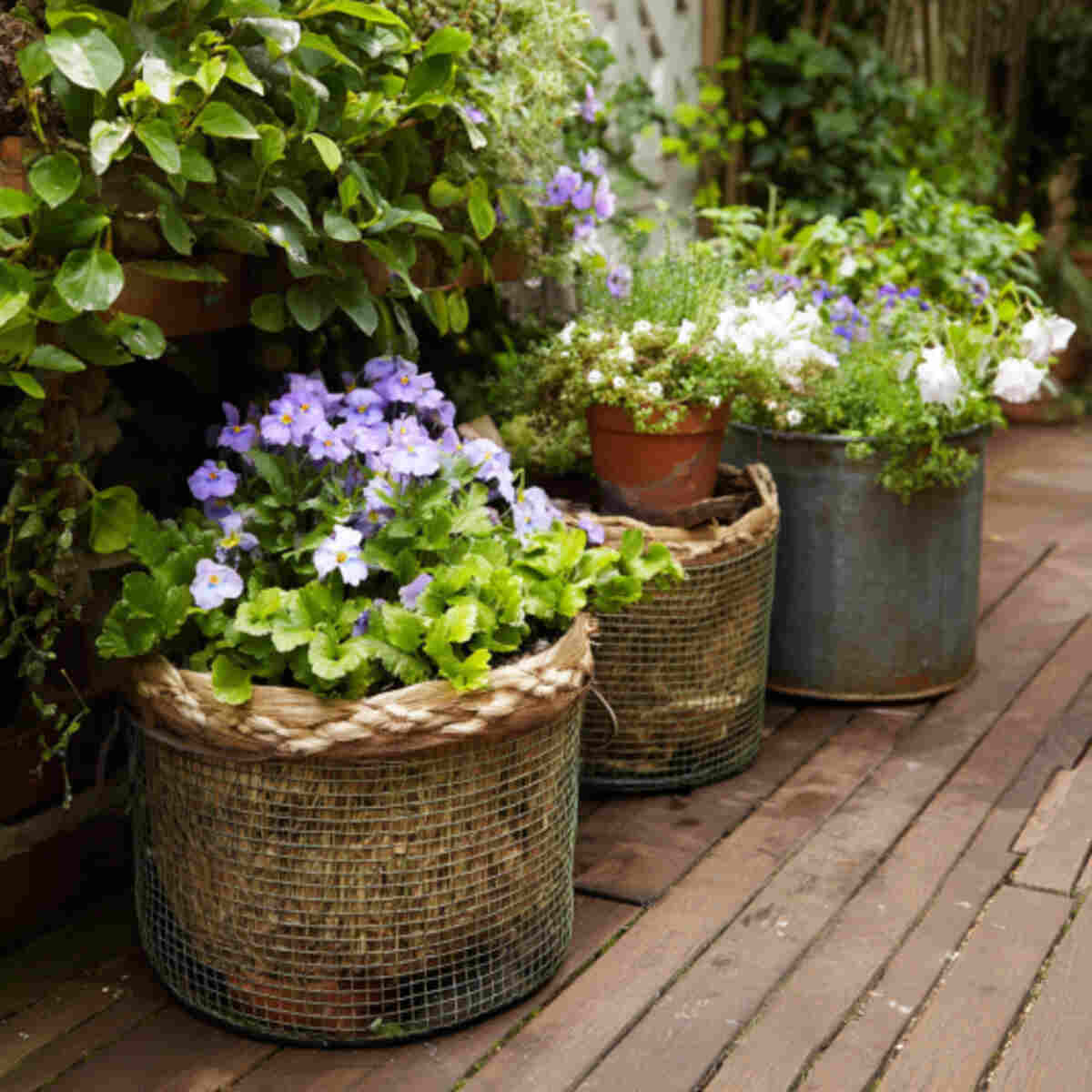 Compost Bin Turned Planter