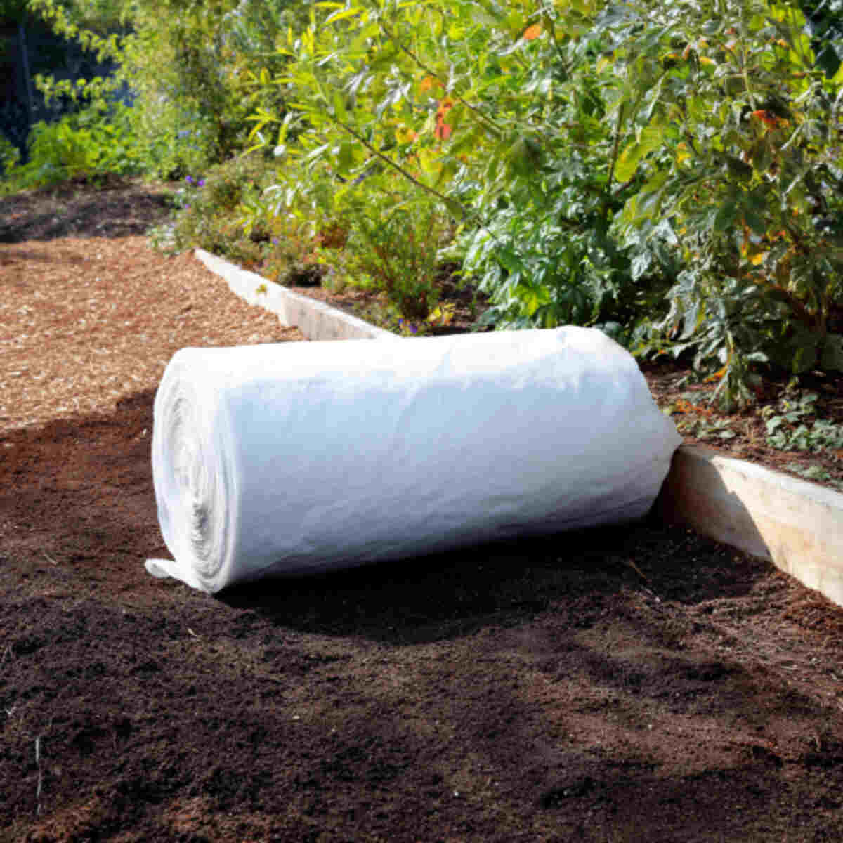 Composting Base Layer