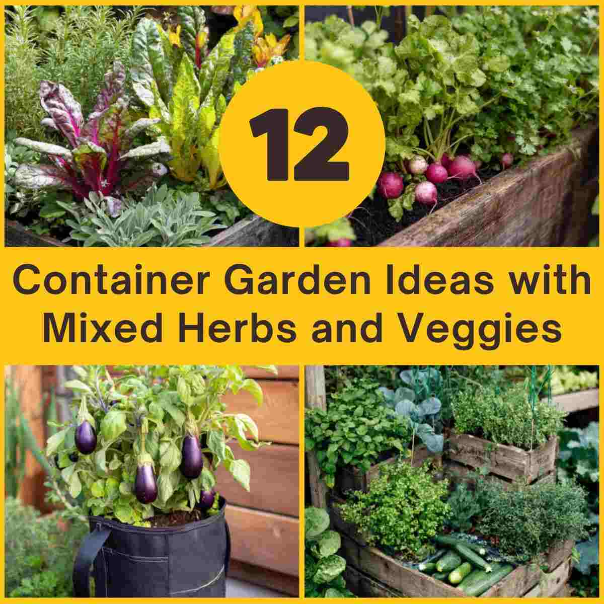 Mixed Herb & Veggie Container Ideas 