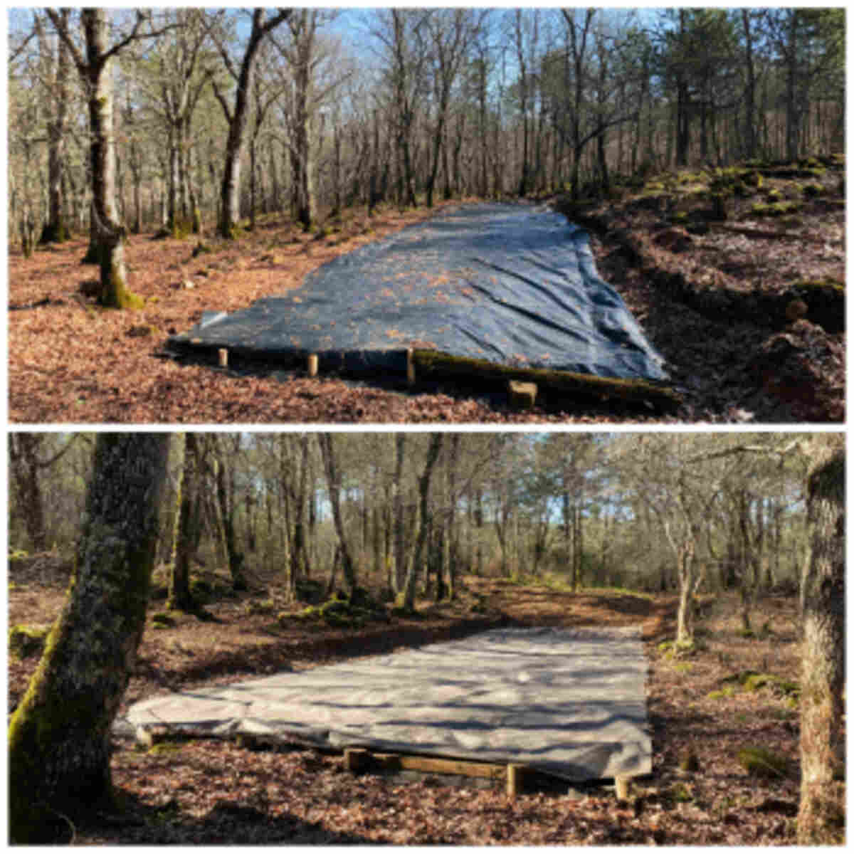 Covering Fallow Beds in the Off-Season