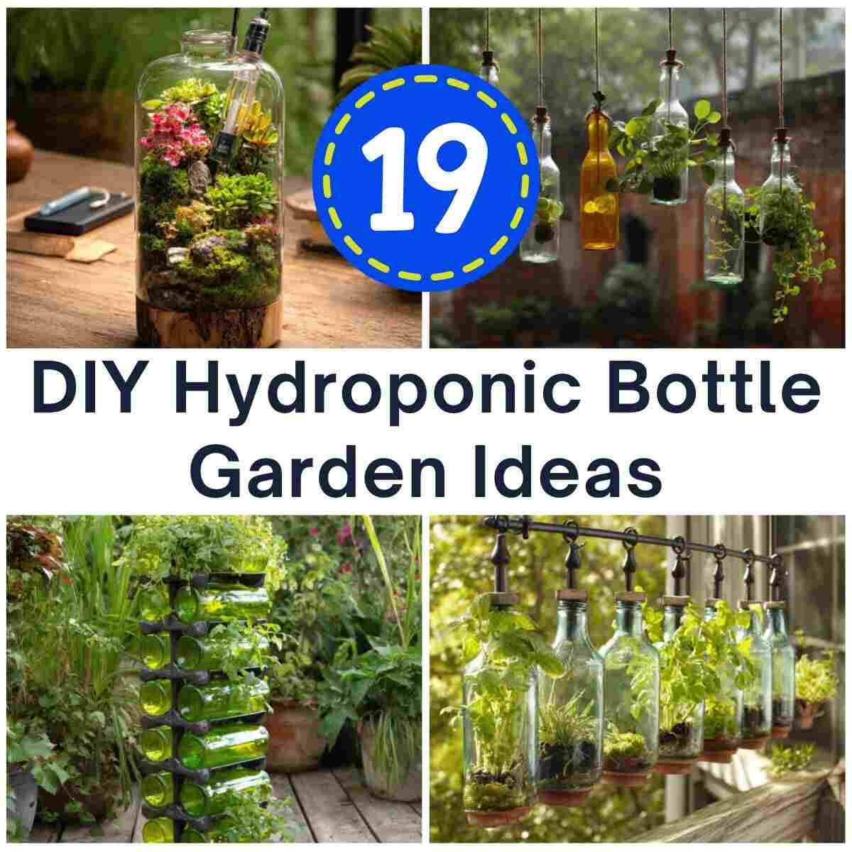 DIY Hydroponic Bottle Garden Ideas