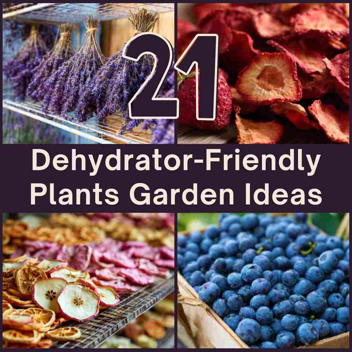 Dehydrator-Friendly Plants