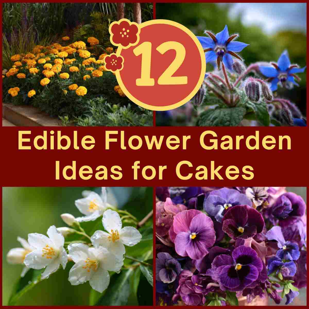Edible Flower Garden Ideas for Cakes