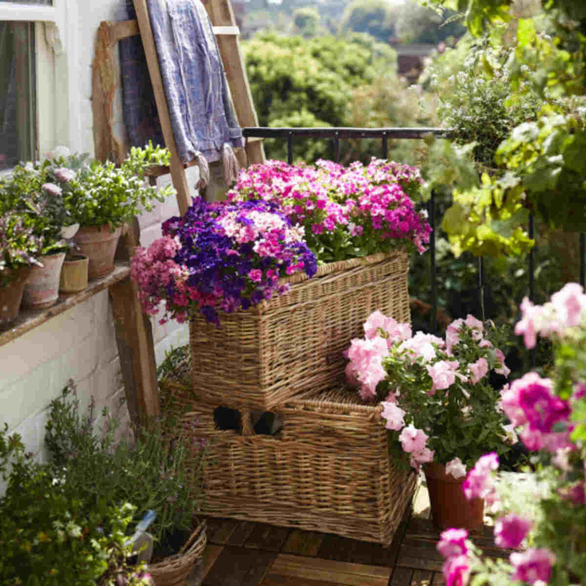 Flower Basket for Balcony
