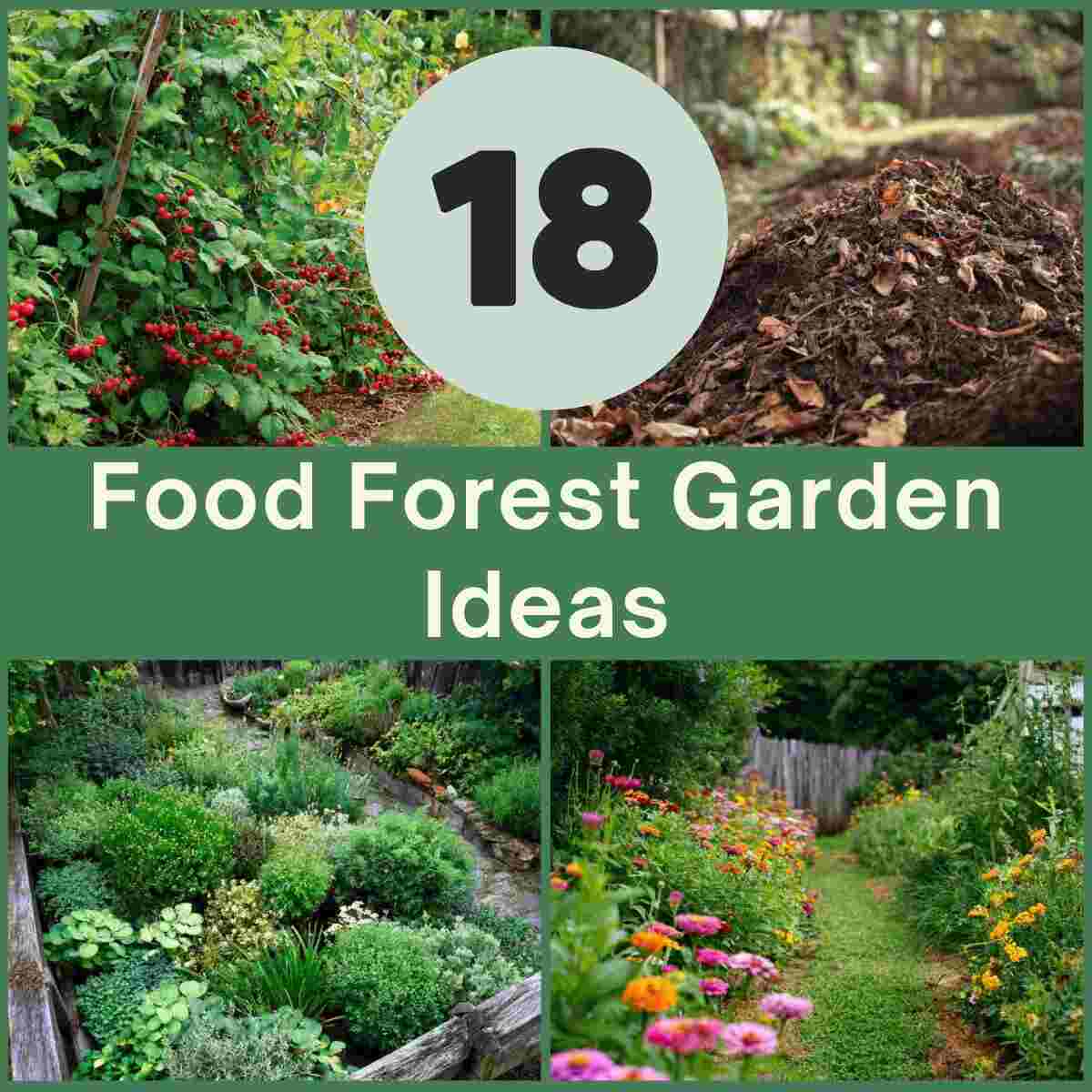 Food Forest Ideas