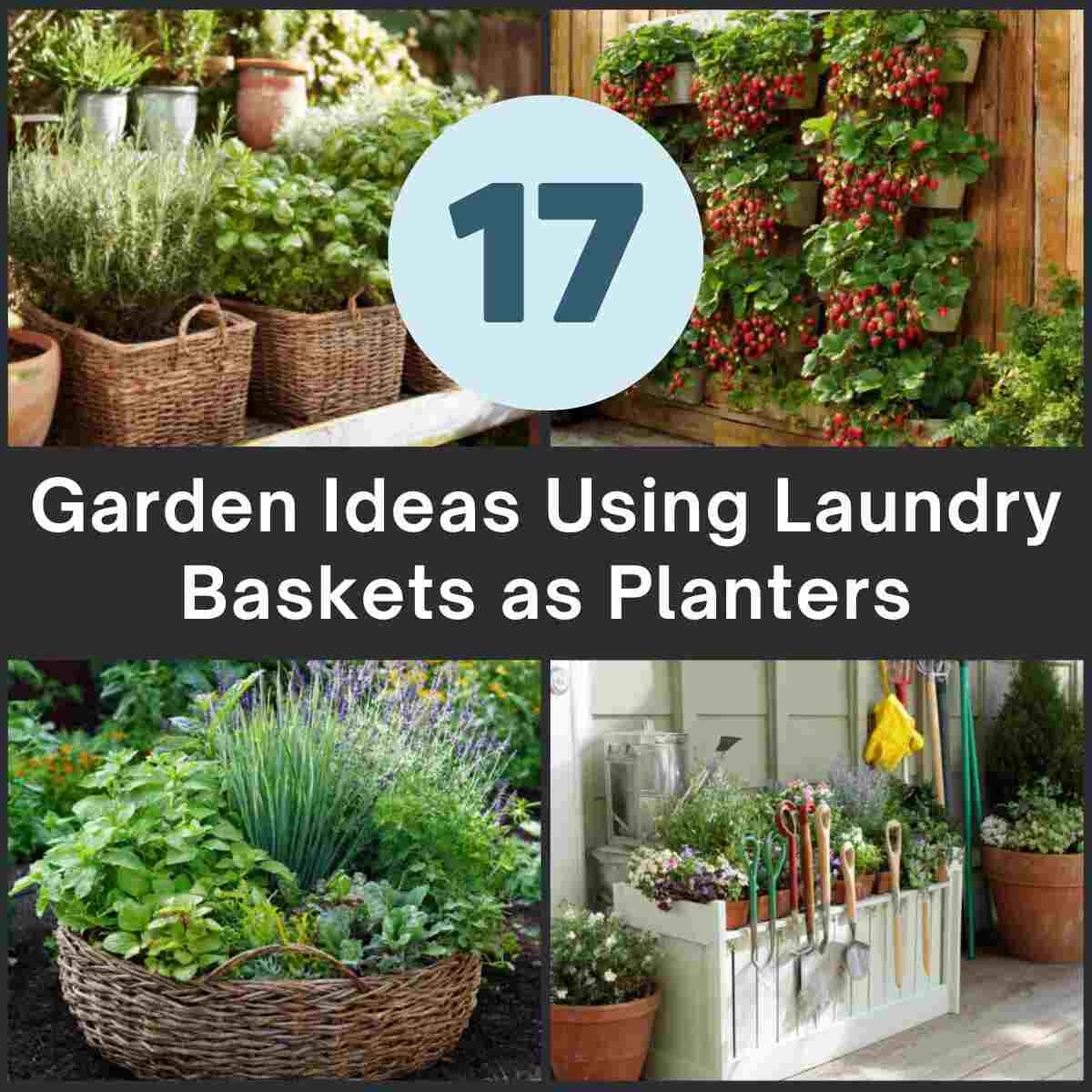 Garden Ideas Using Laundry Baskets as 