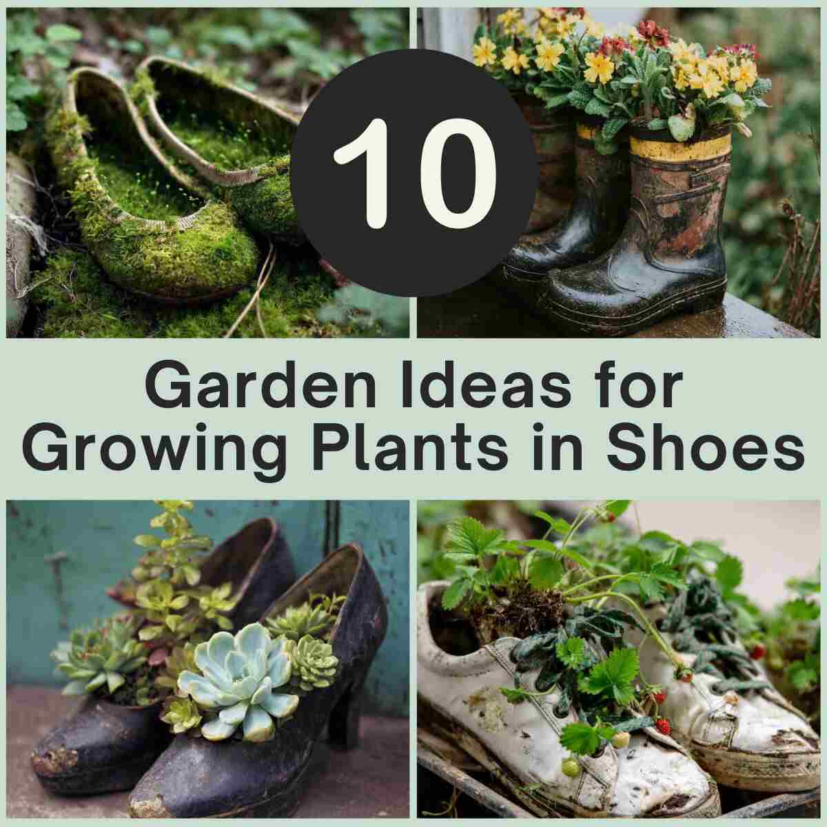 Garden Ideas for Growing Plants in Shoes