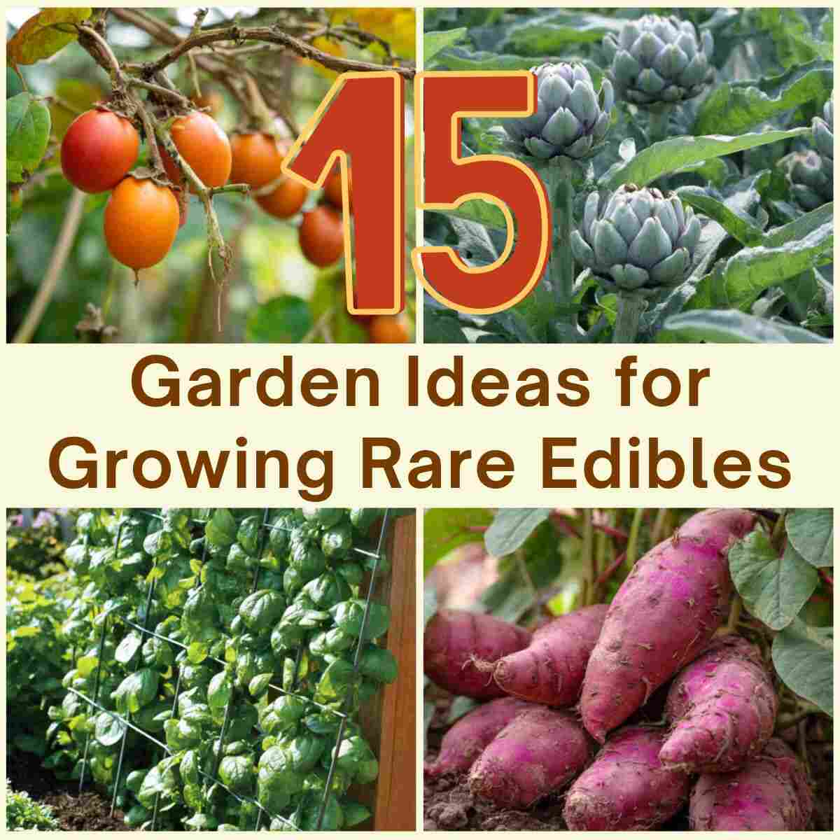 Garden Ideas for Growing Rare Edibles