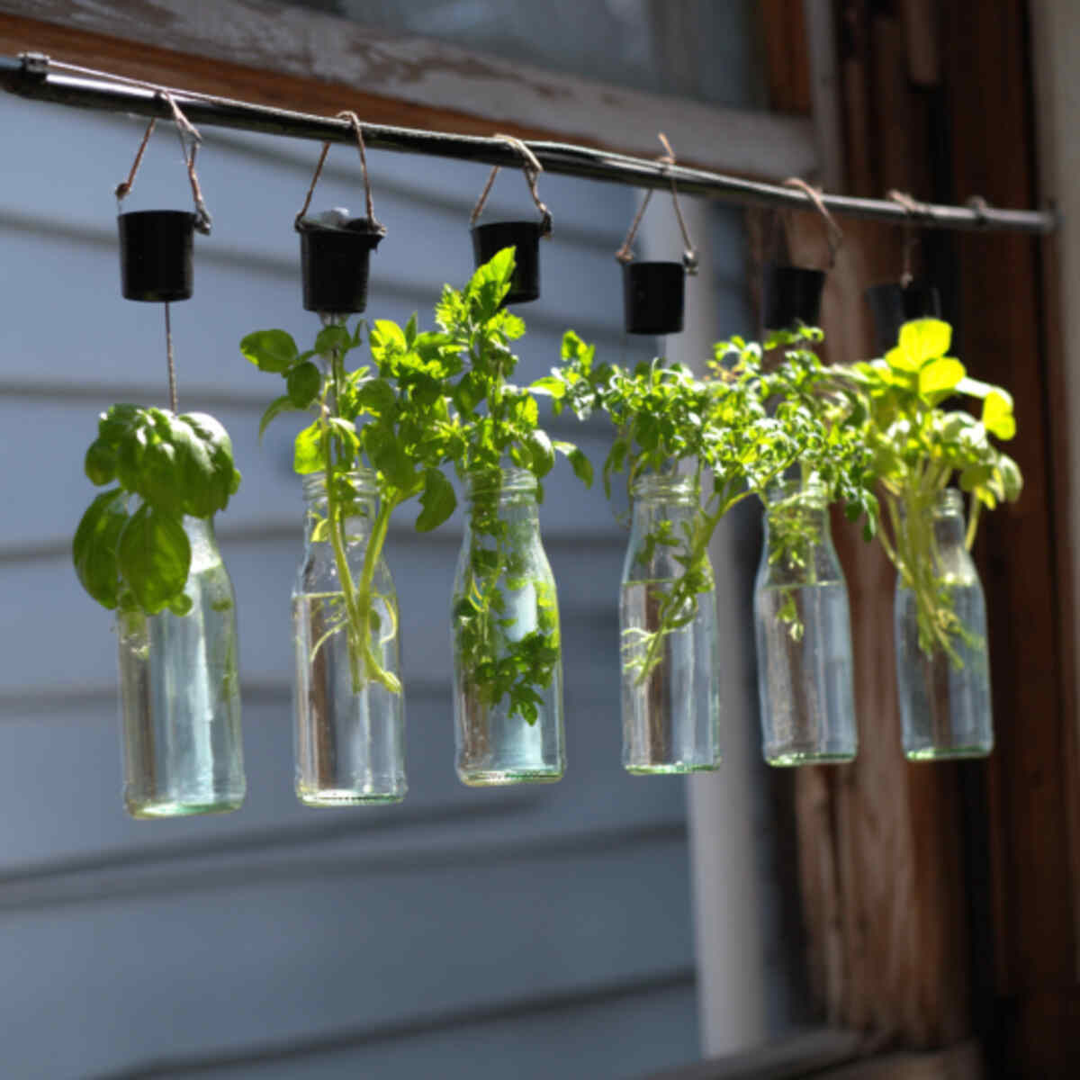 Hanging Bottle Hydroponics