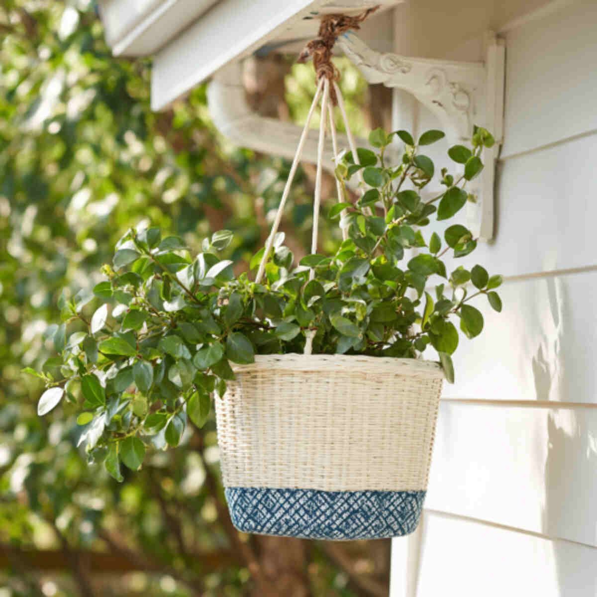 Hanging Laundry Basket Planter

