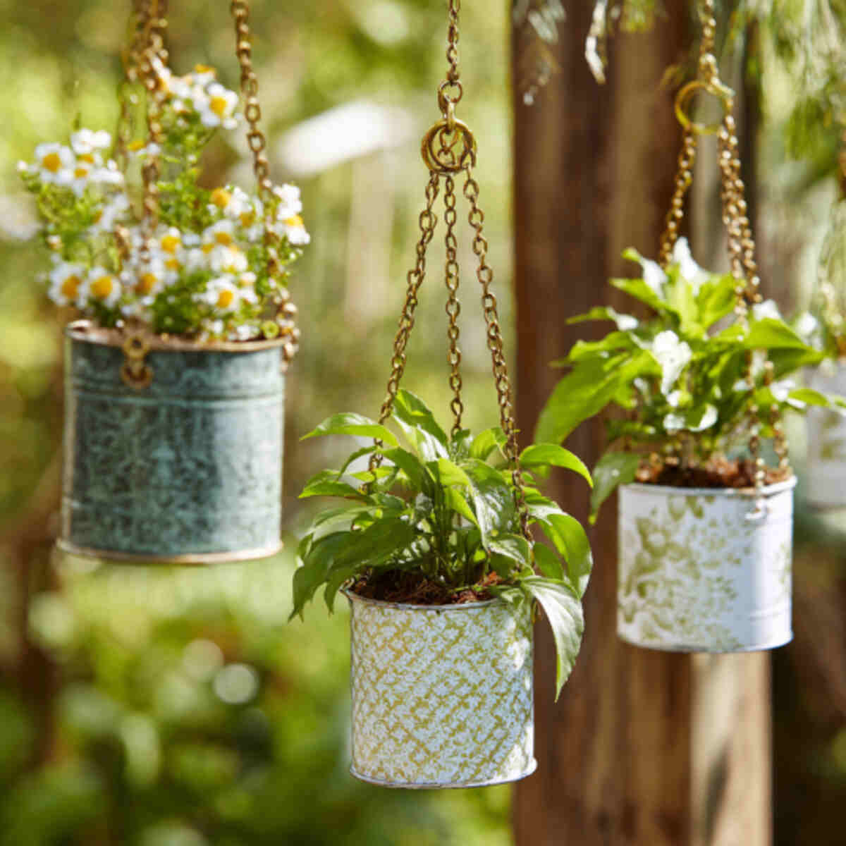 Hanging Tea Tin Planters with Chains