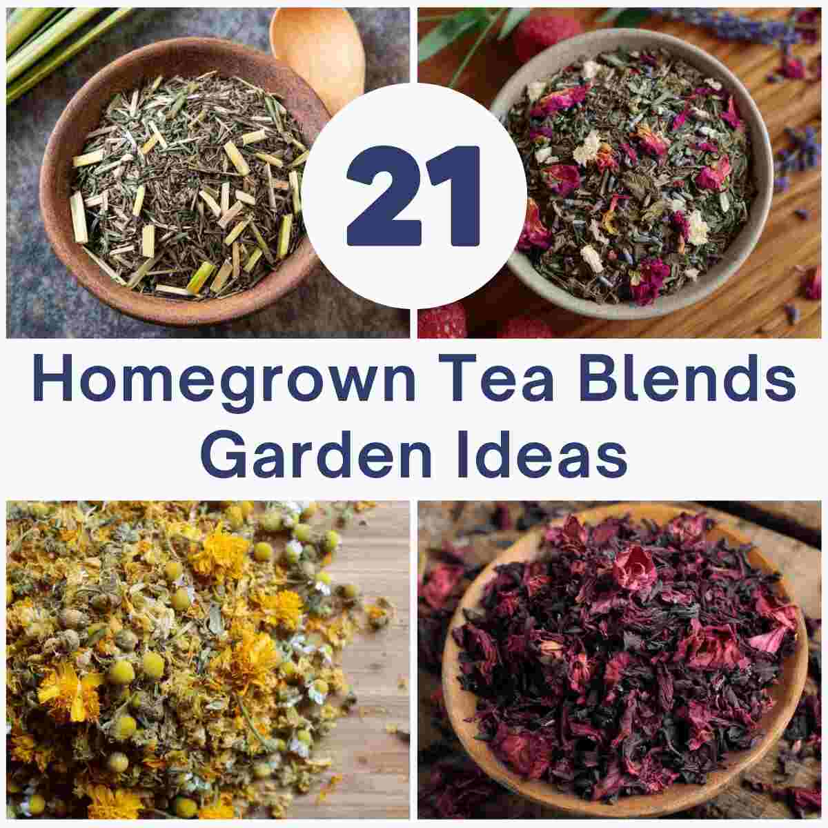 Homegrown Tea Blends