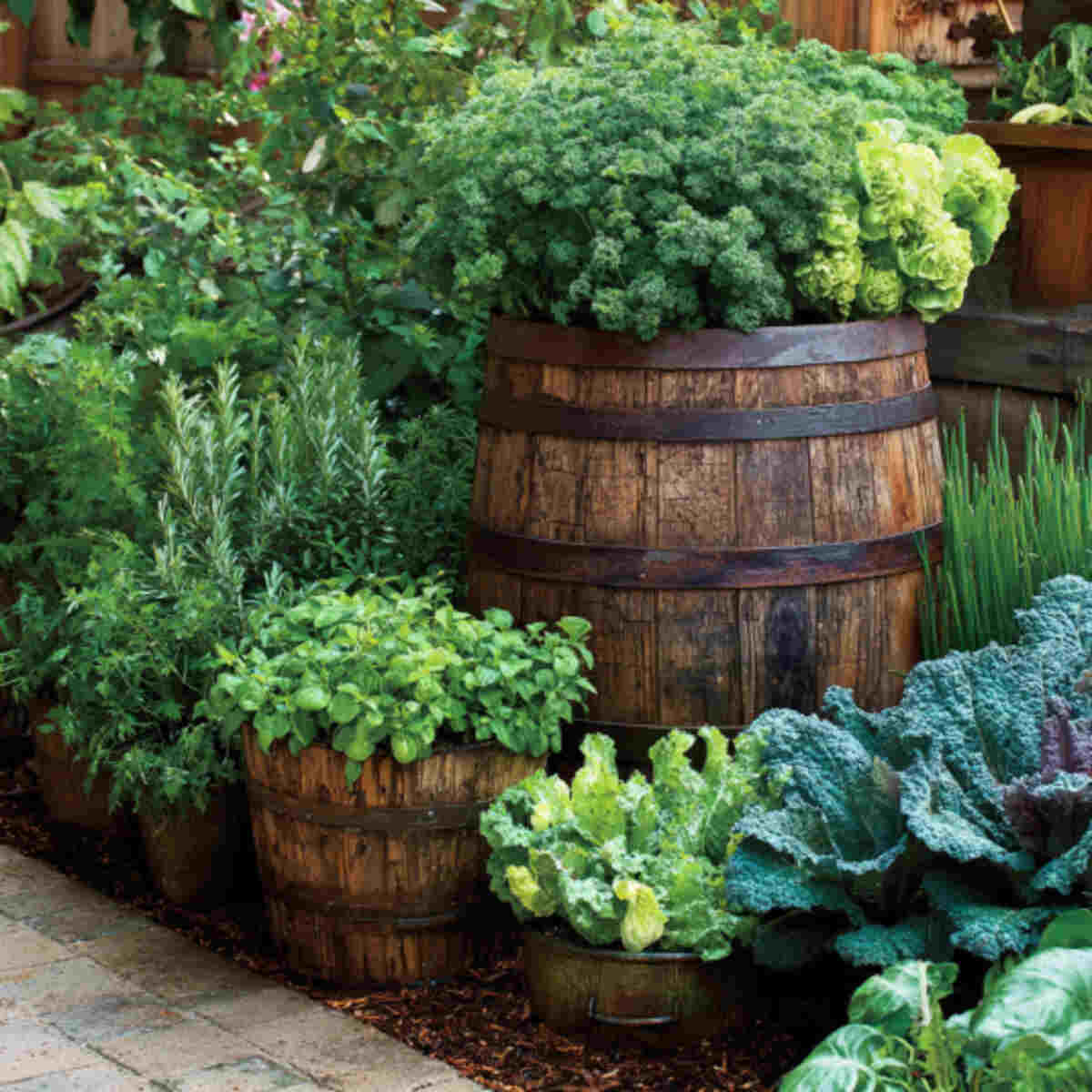 Kale and Mint Barrel