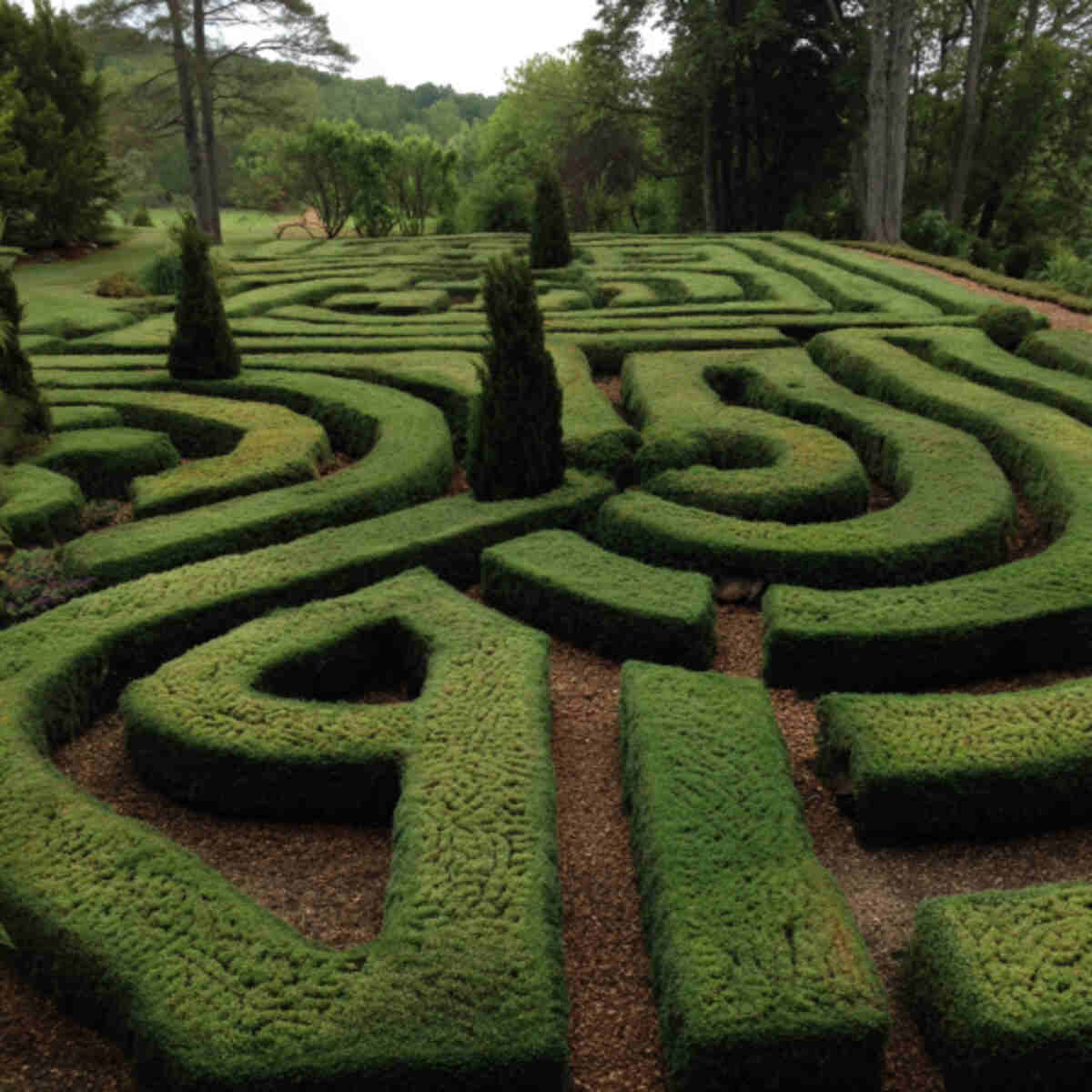 Maze with Hidden Garden Statues