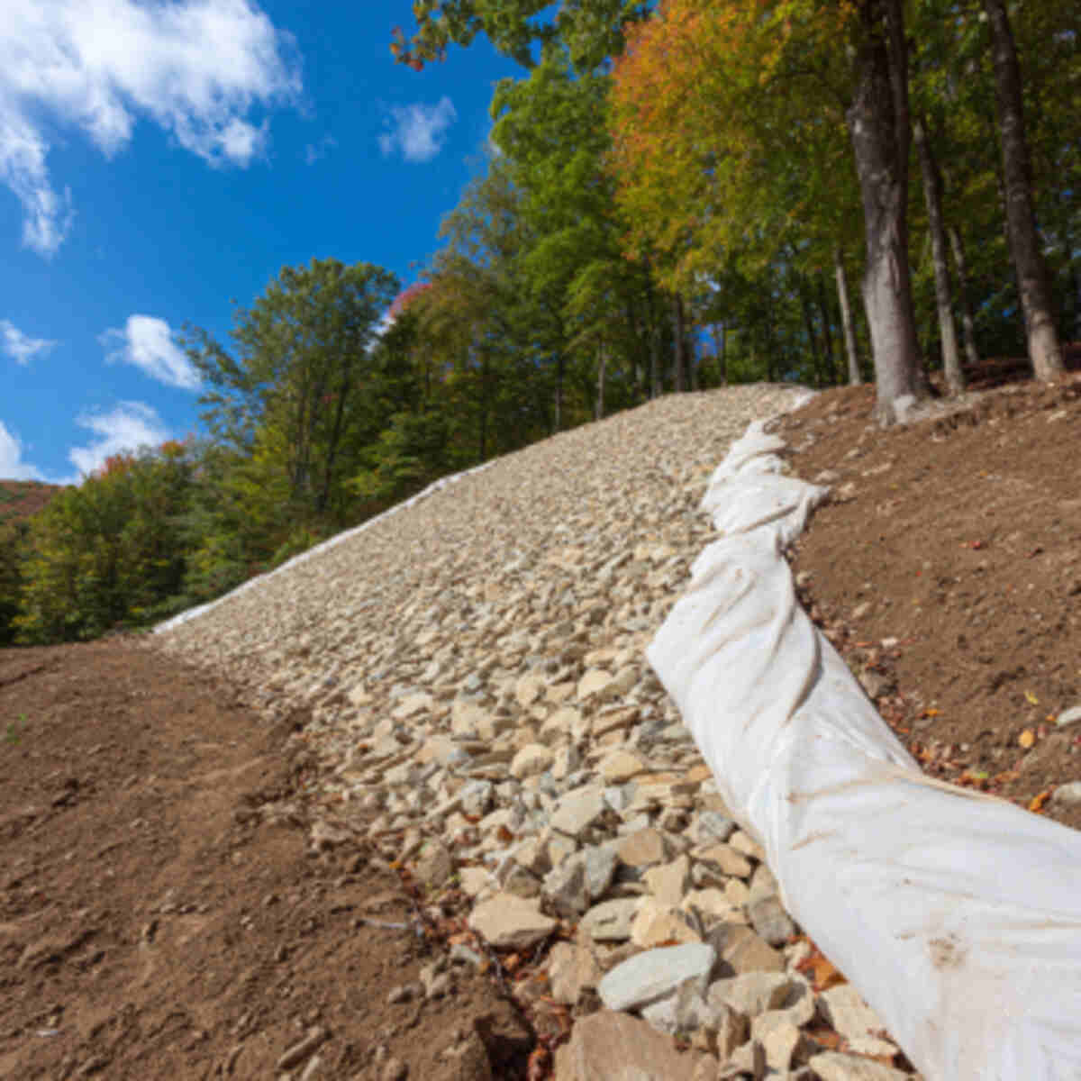 Natural Erosion Control on Slopes