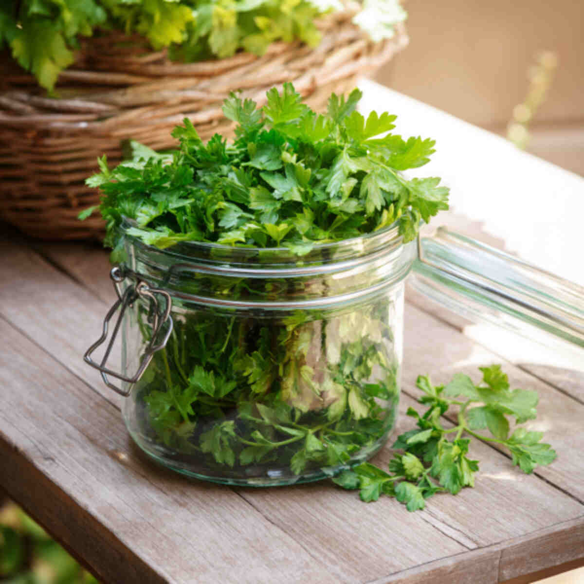 Parsley