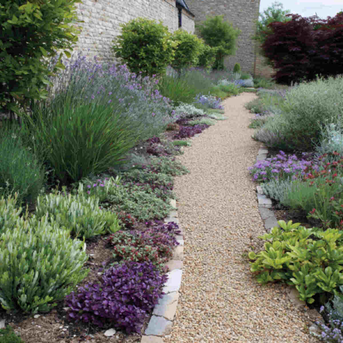 Pathway Edging with Low-Growing Dye Plants