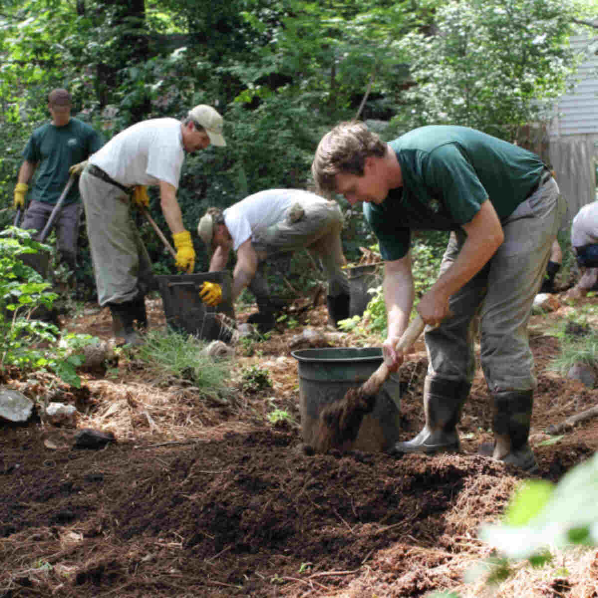 Preparing Ground for Native Plant Gardens